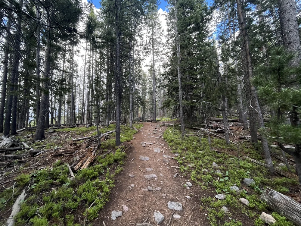 Hiking the Sacred Rim Trail in Pinedale, Wyoming — noahawaii