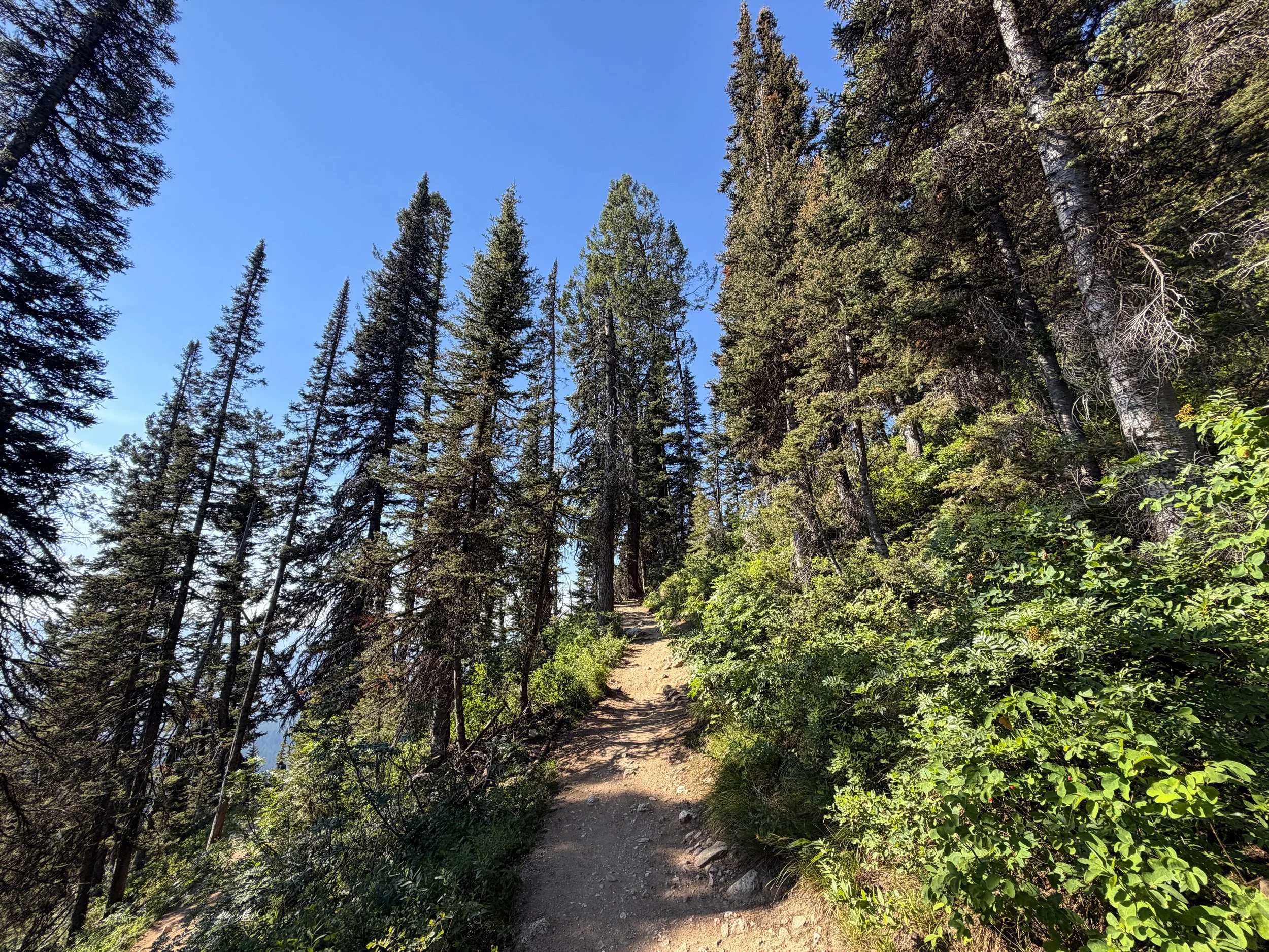Delta Lake Trail Grand Teton National Park Wyoming