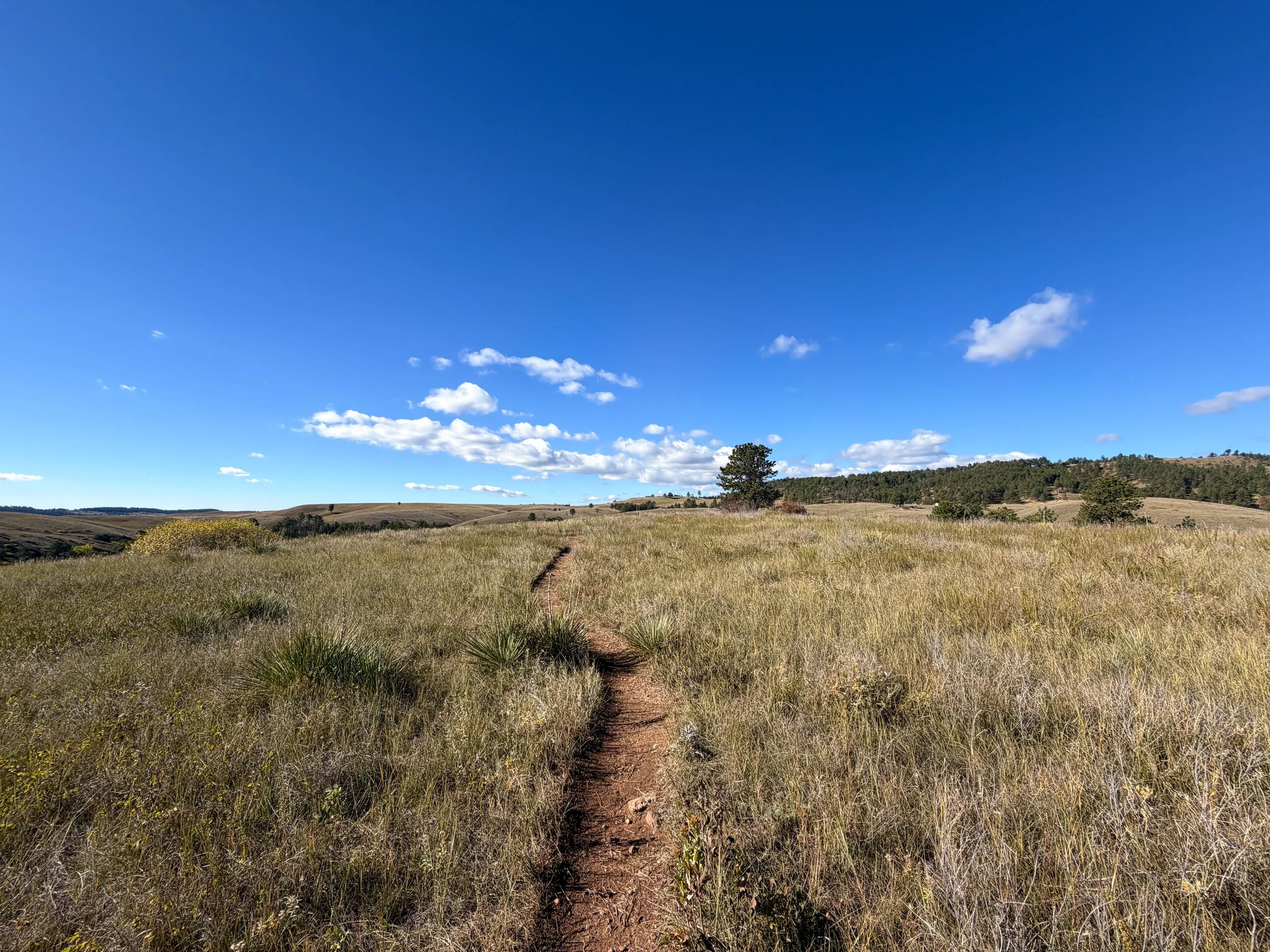 Prairie Vista Nature Trail Wind Cave National Park South Dakota