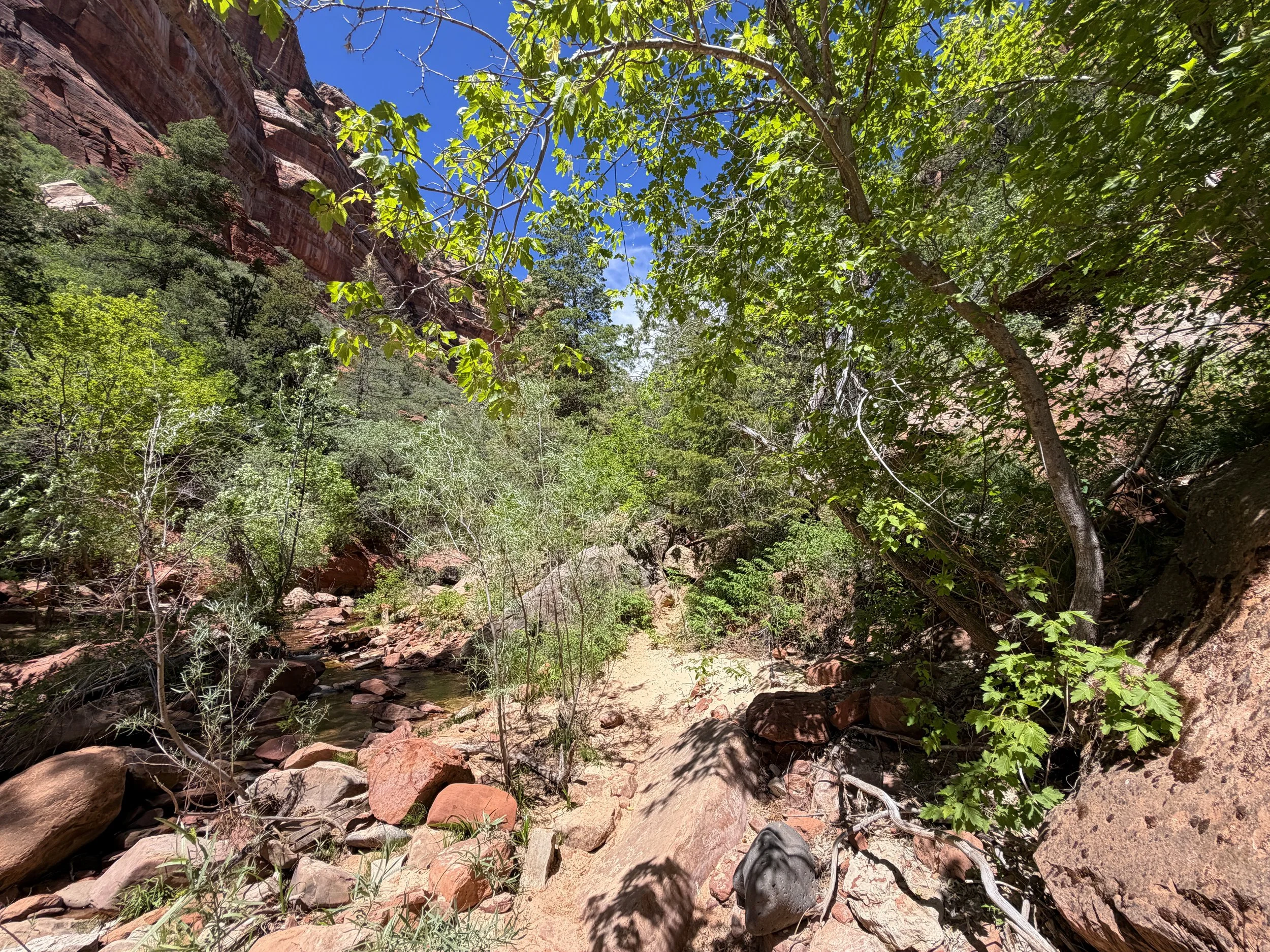 Left Fork North Creek Trail to the Subway Zion National Park Utah