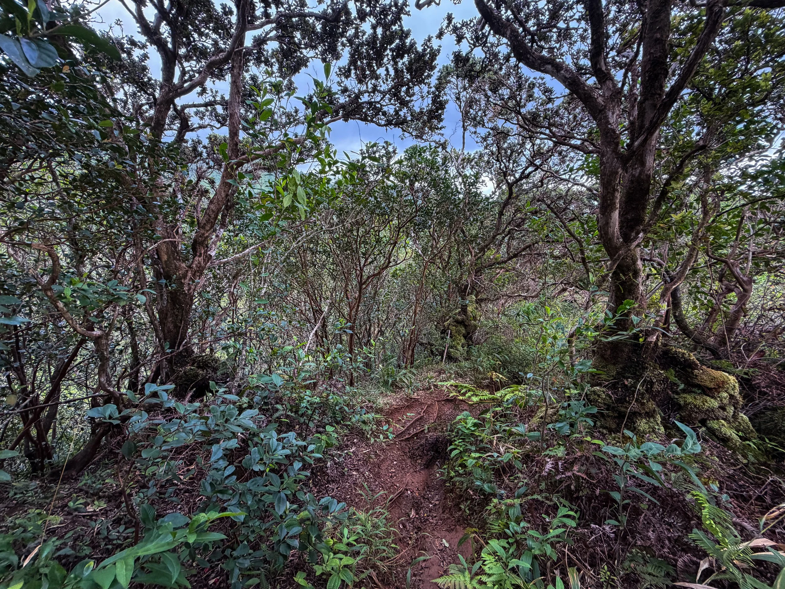 Kaau Crater Hike Oahu Hawaii