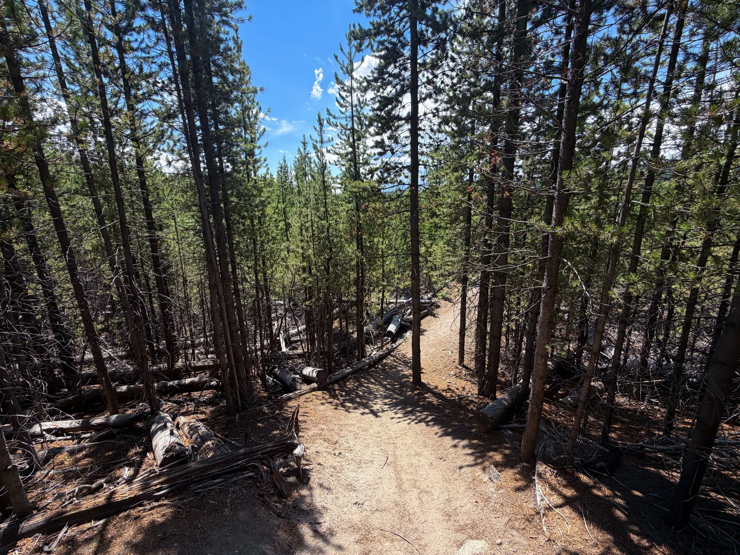 Duck Lake Trail Yellowstone National Park Wyoming
