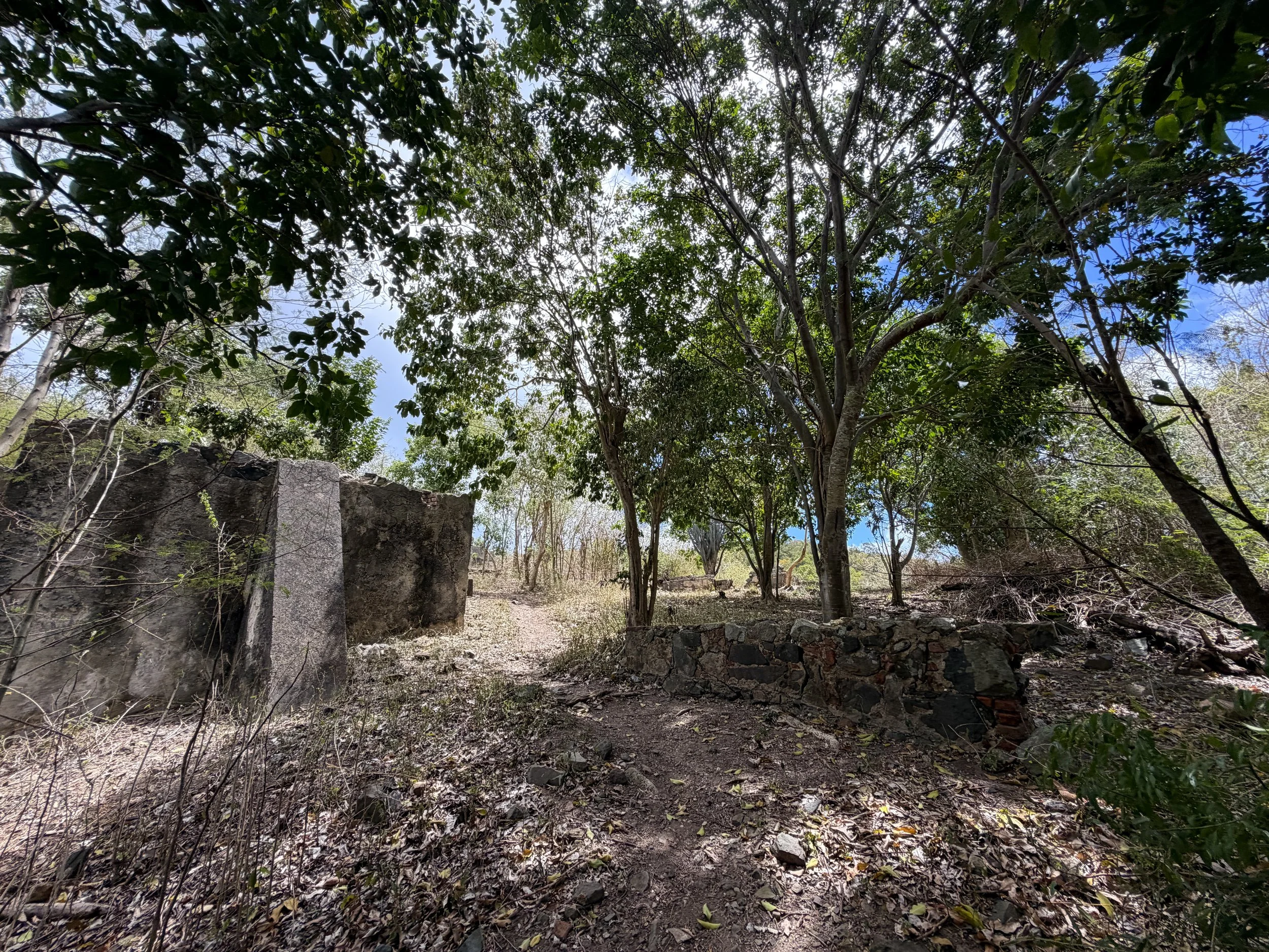 Hermitage Plantation Ruins Brown Bay Trail Virgin Islands National Park