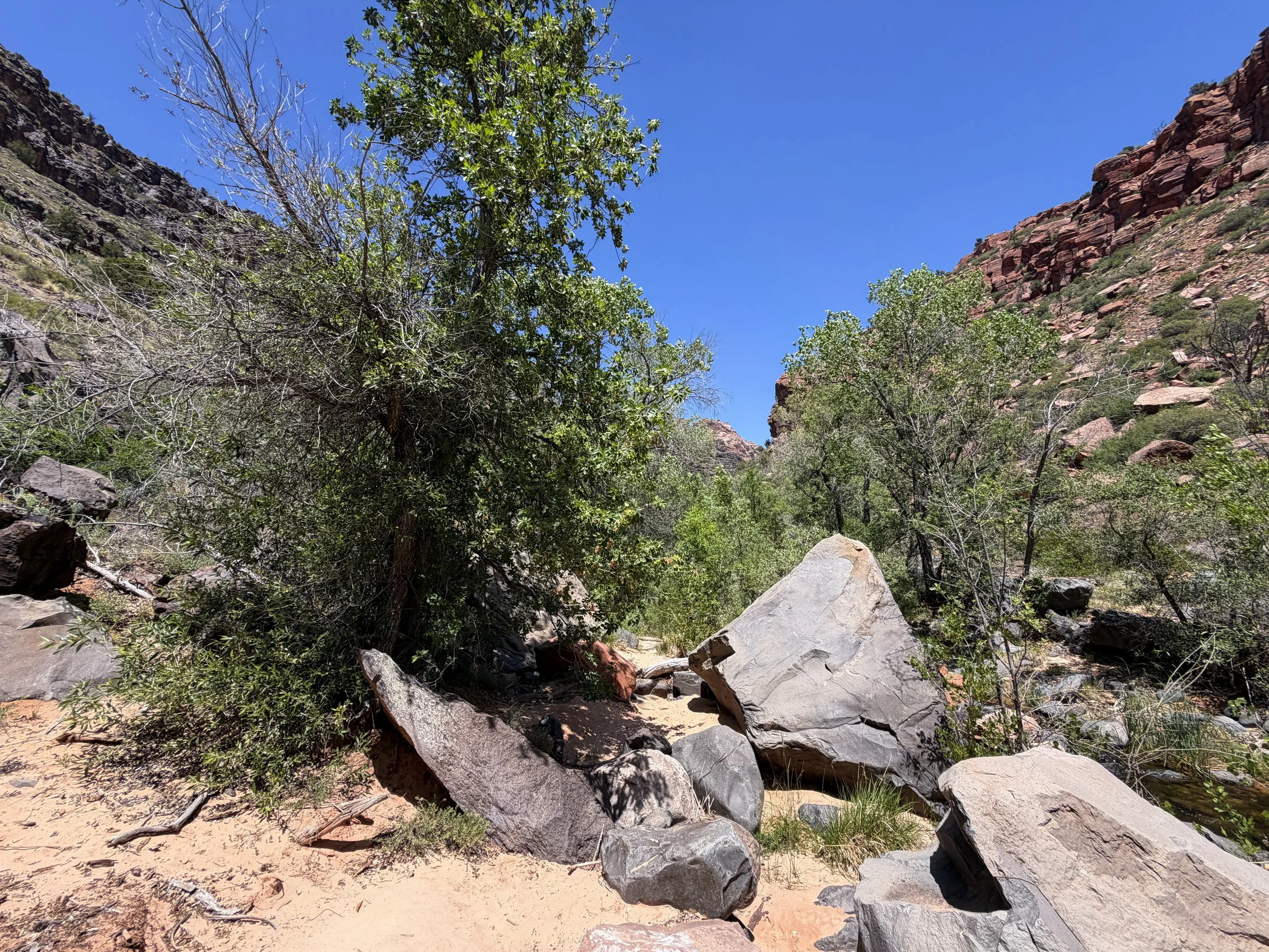 Grapevine Trail to Left Fork Falls Zion National Park Utah