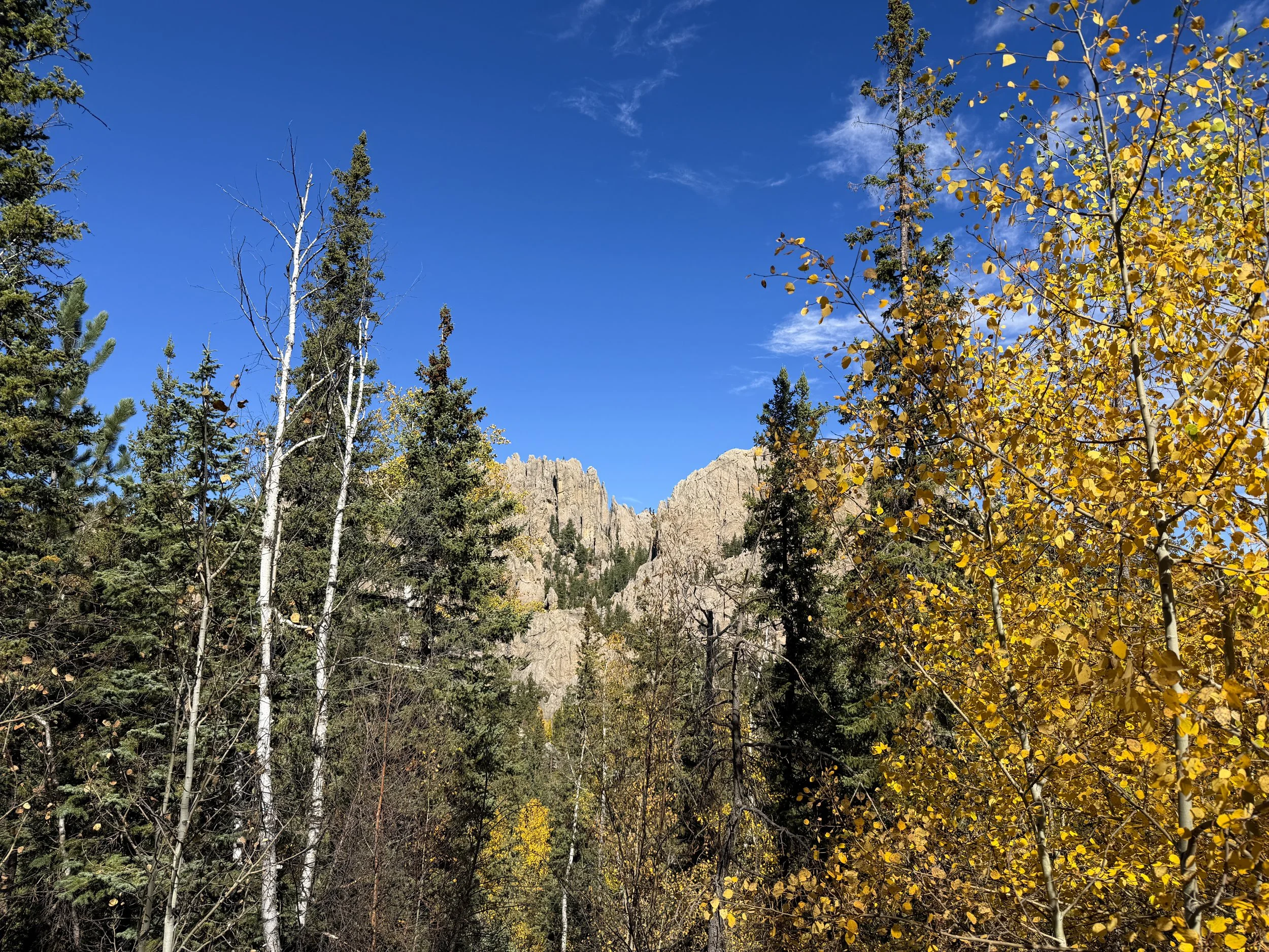 Black Elk Peak Fall Colors Custer State Park Black Hills South Dakota