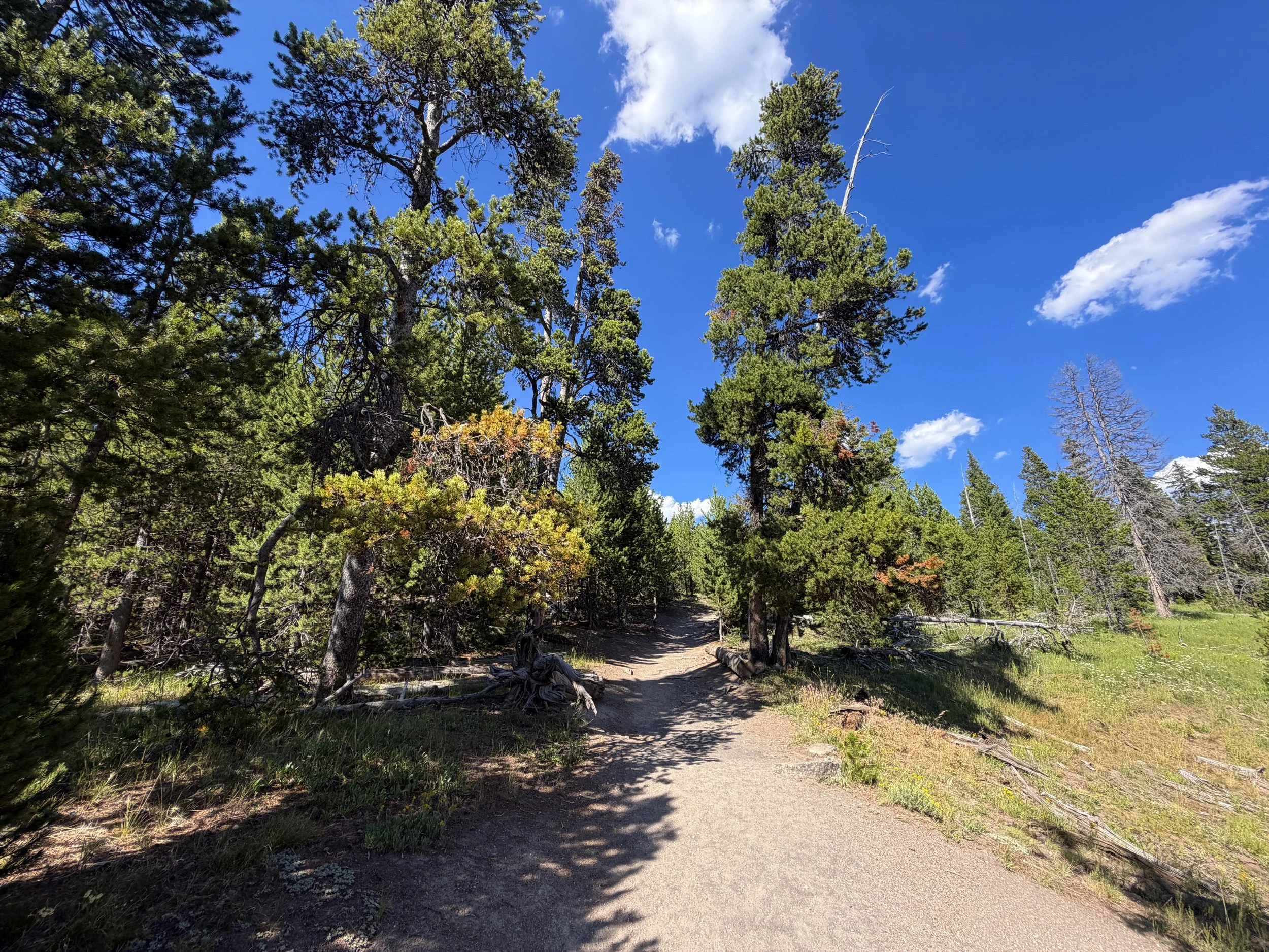 Observation Point Trail Yellowstone National Park Wyoming