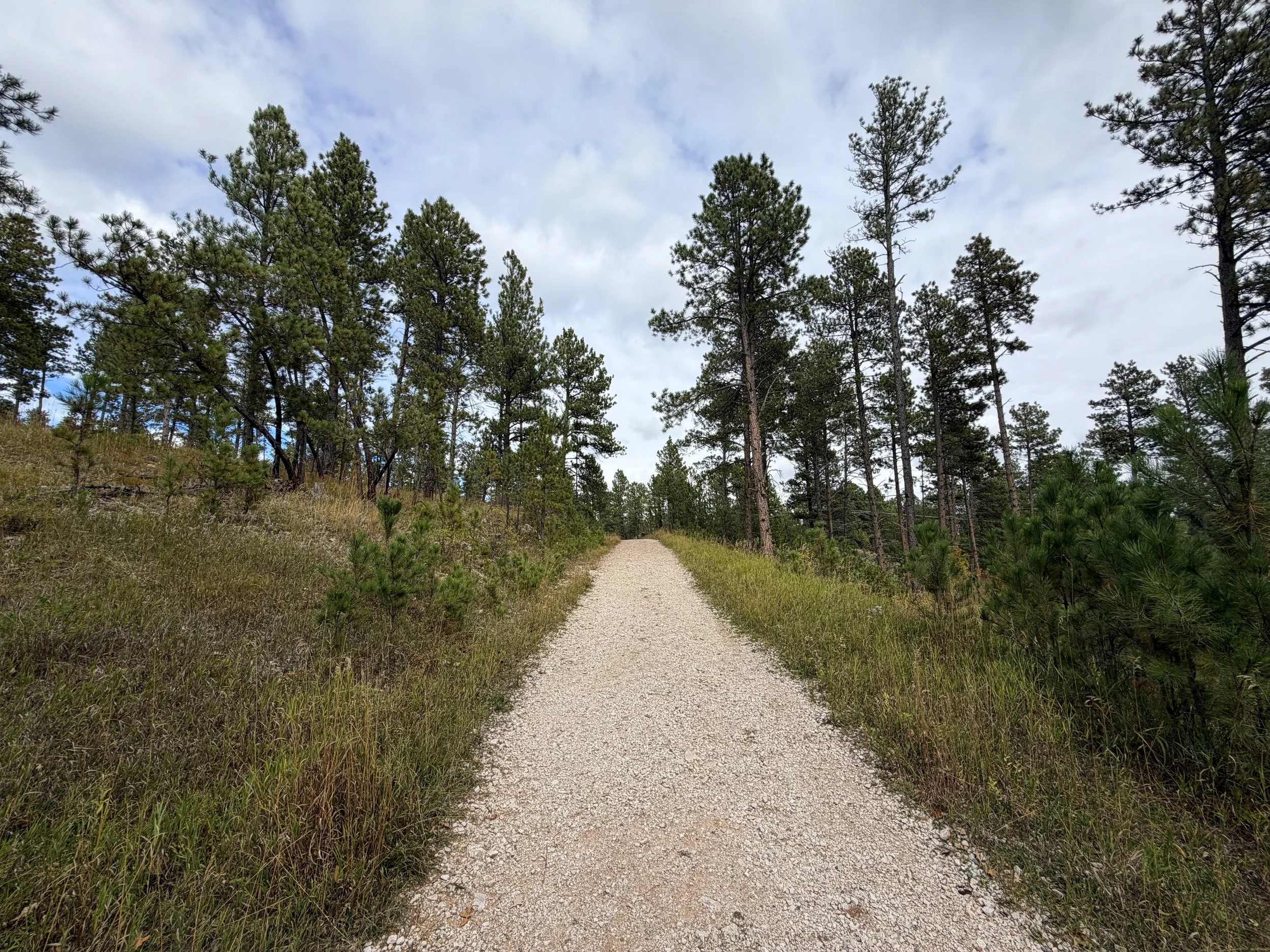 Stratobowl Rim Trail Black Hills South Dakota