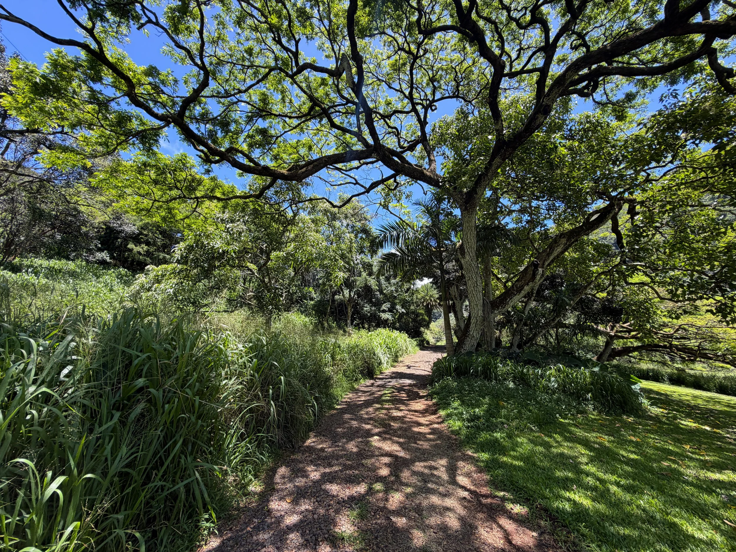 Kulanaahane Trailhead Oahu Hawaii