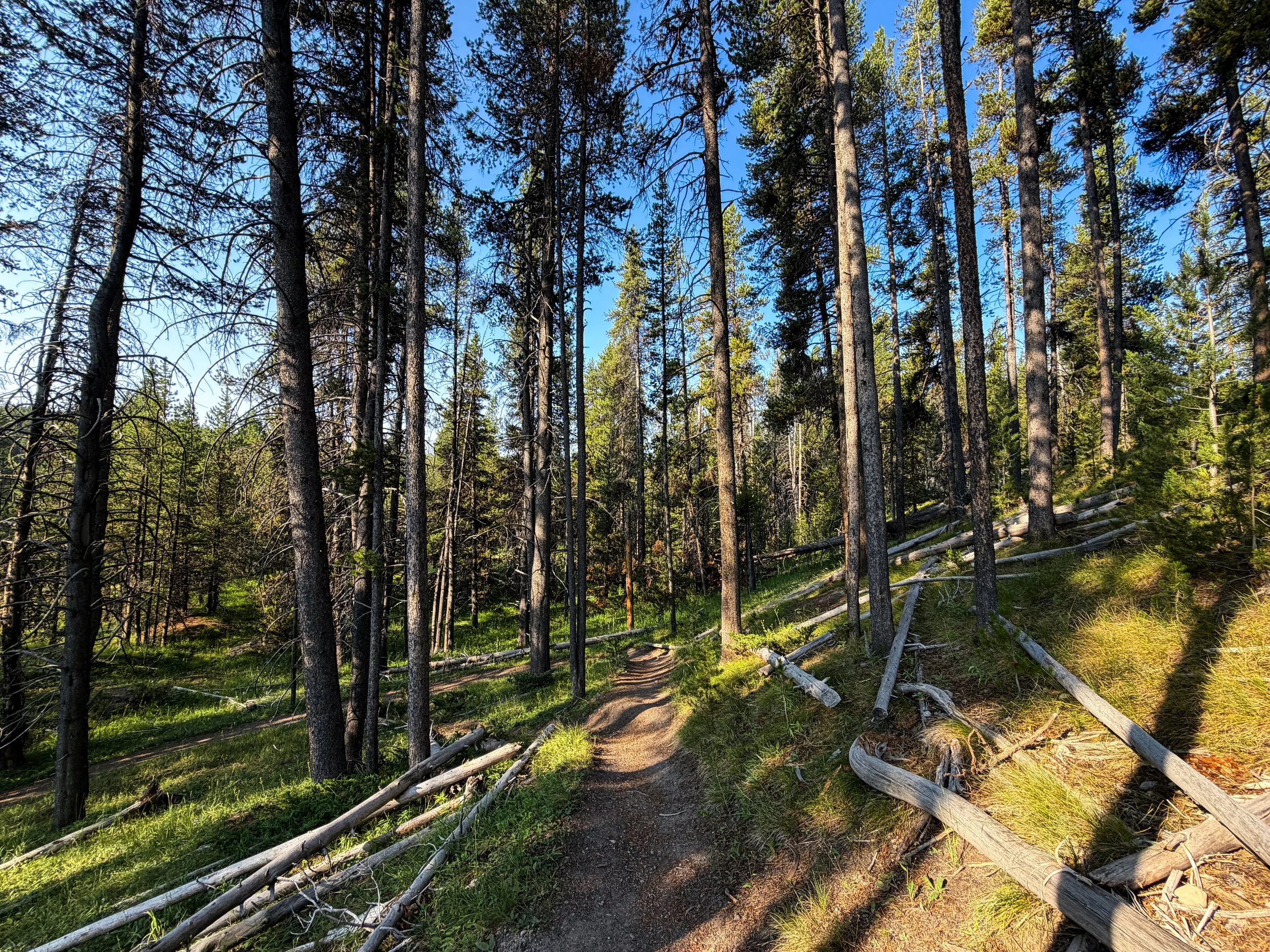 Natural Bridge Trail Yellowstone National Park Wyoming