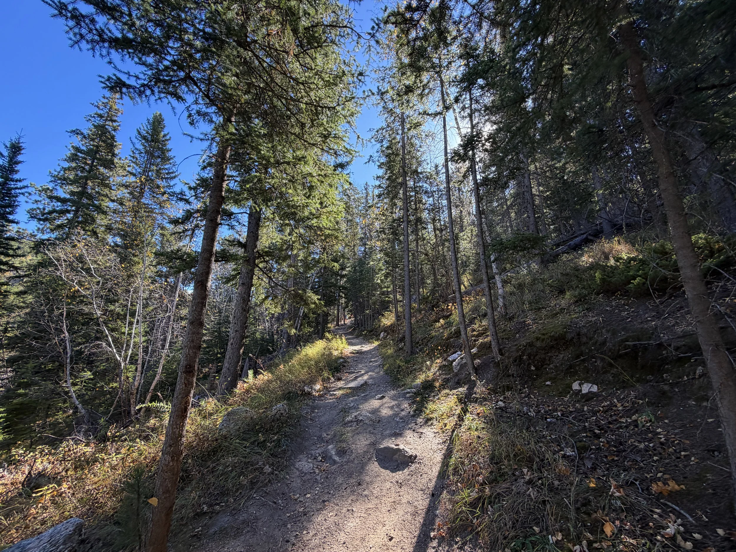 Sunday Gulch Trail Custer State Park Black Hills South Dakota
