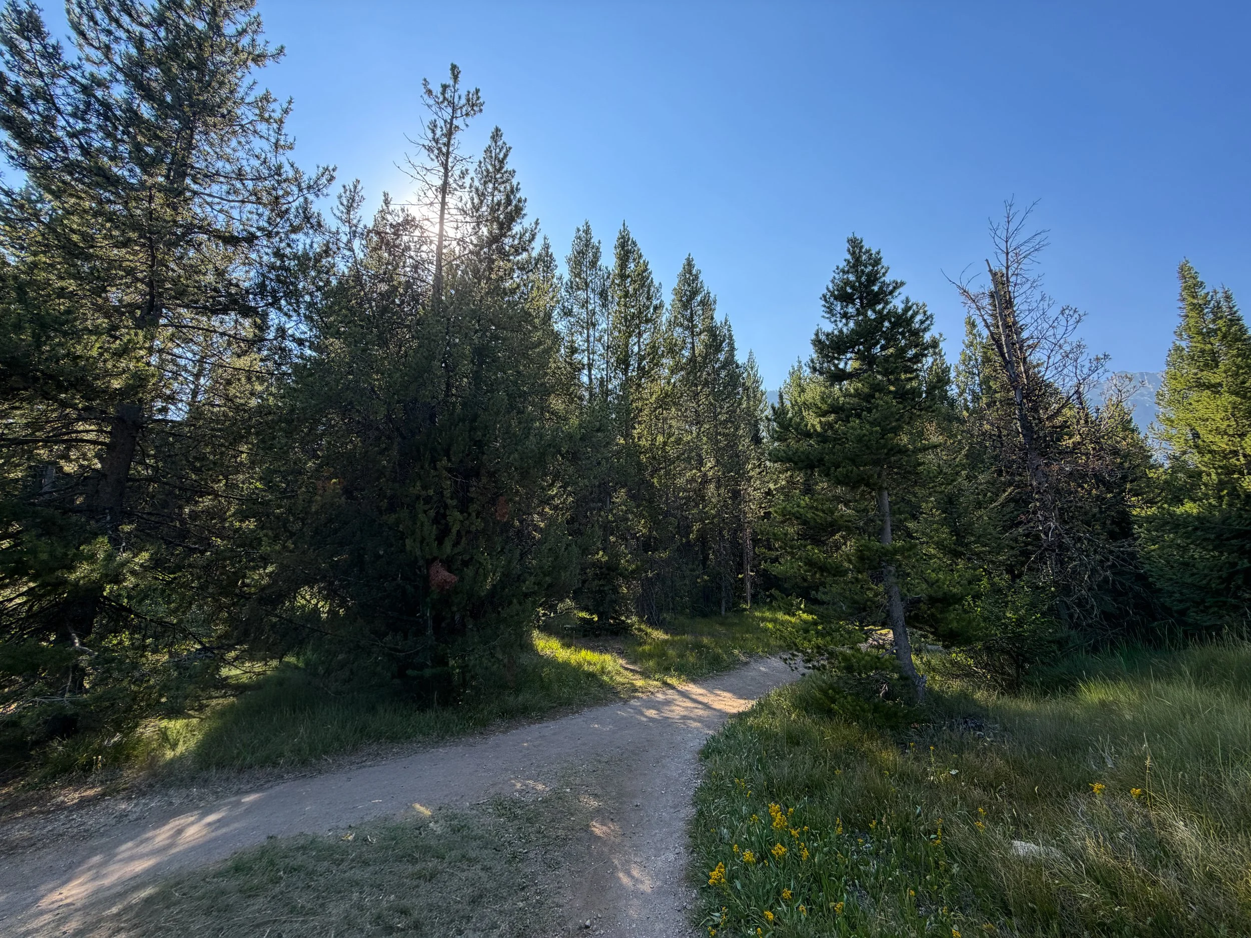 Moose Ponds Loop Trail Grand Teton National Park Wyoming