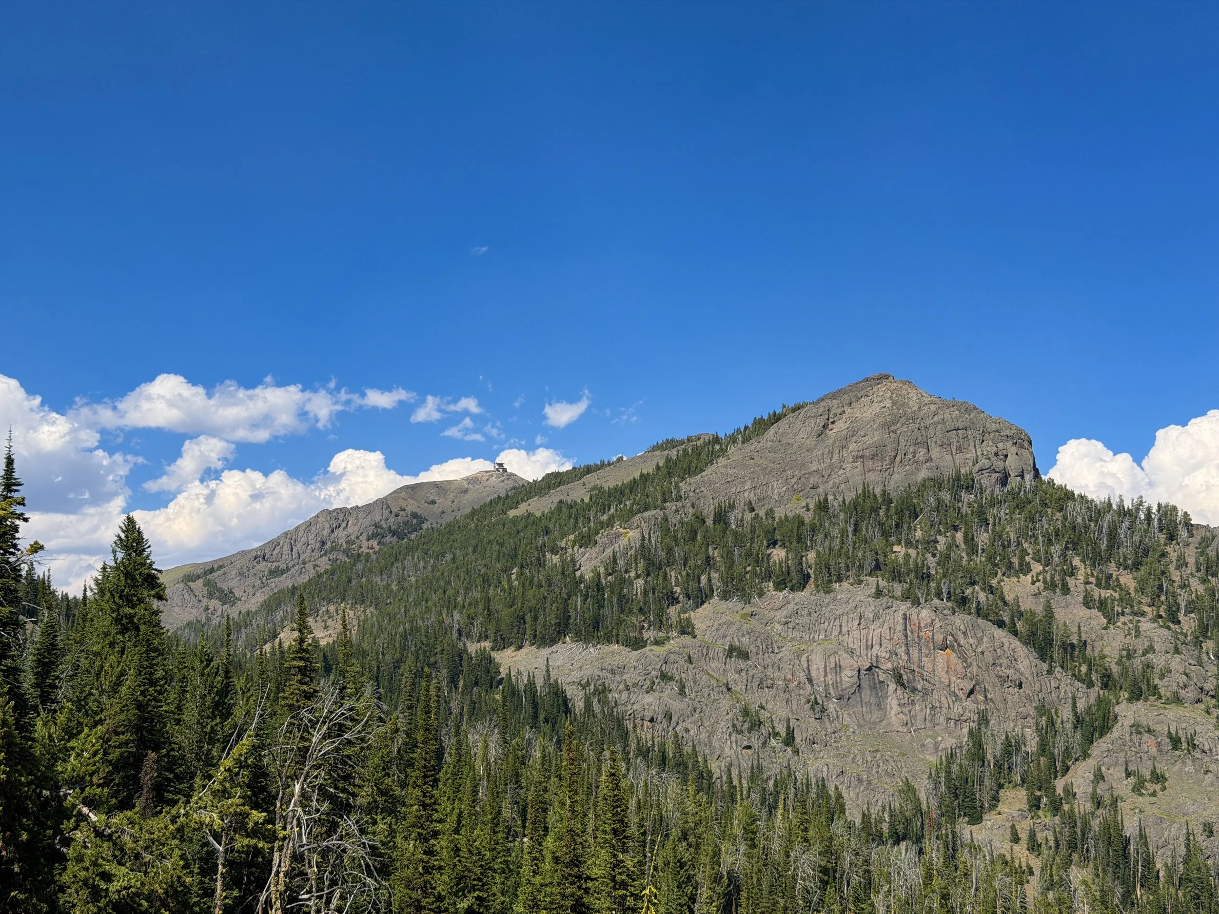 Mt. Washburn Trail via Dunraven Pass Yellowstone National Park Wyoming
