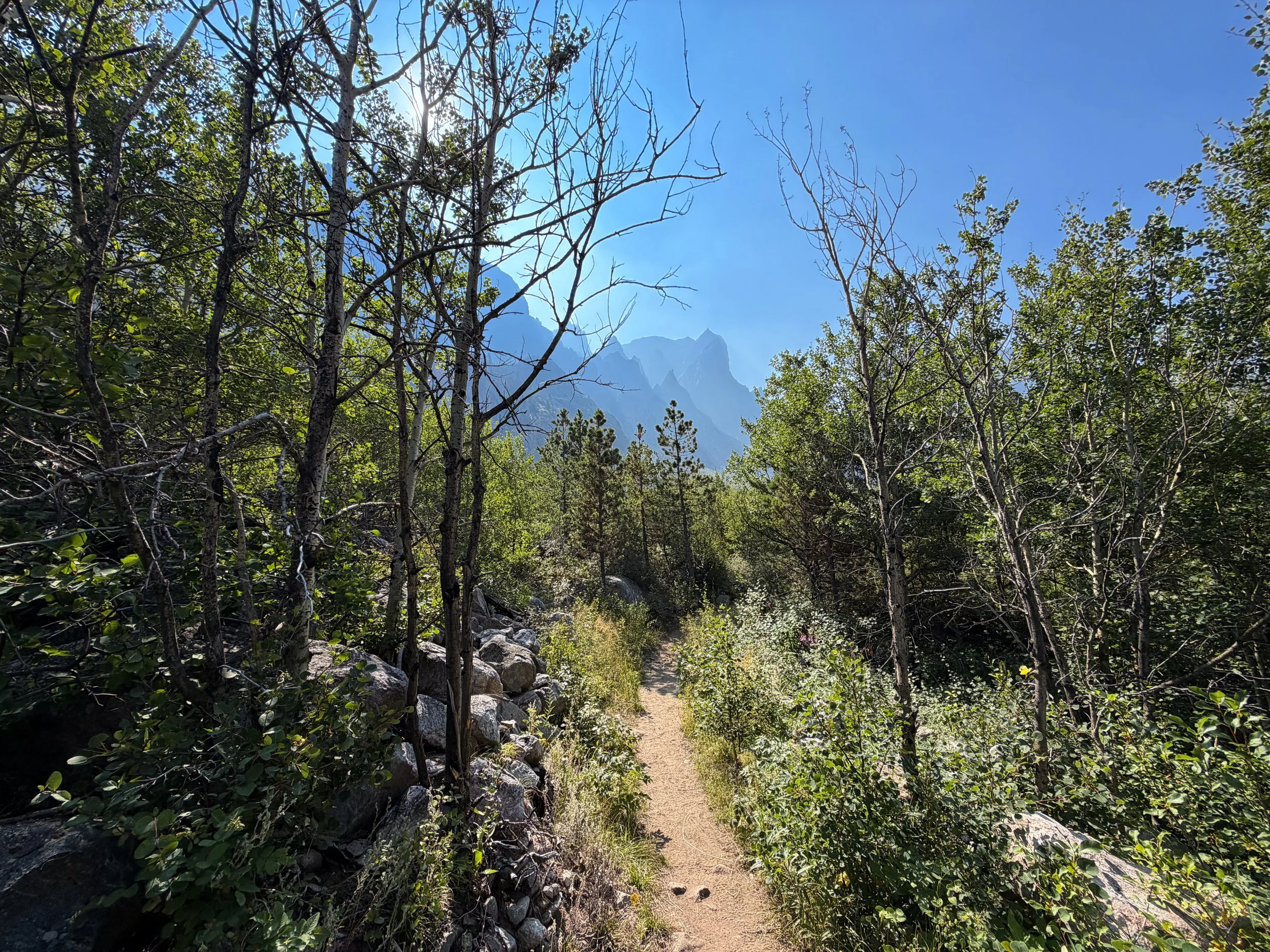 Beaten Path Trail Beartooth Mountains Montana