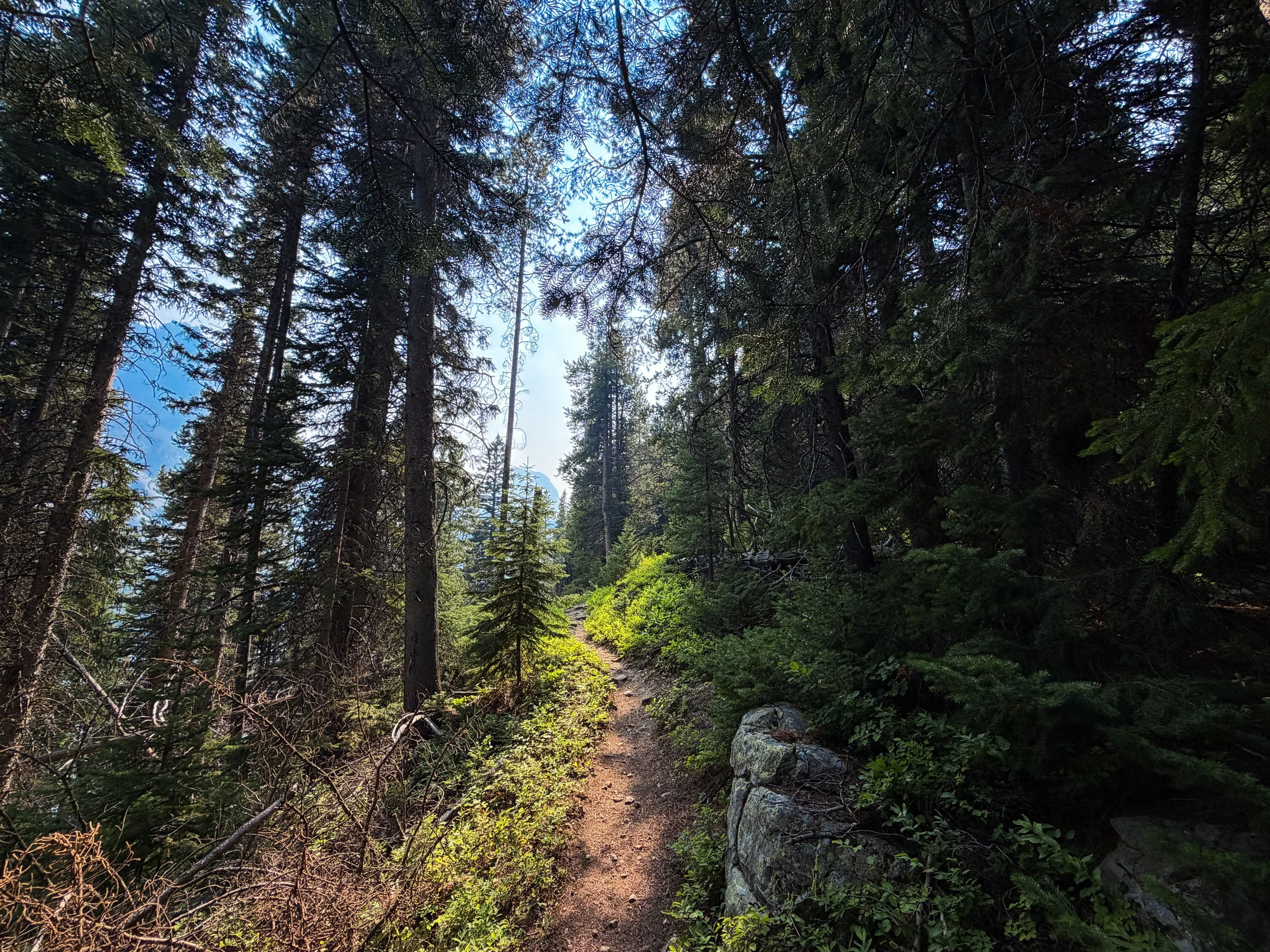 Beaten Path Trail Beartooth Mountains Montana