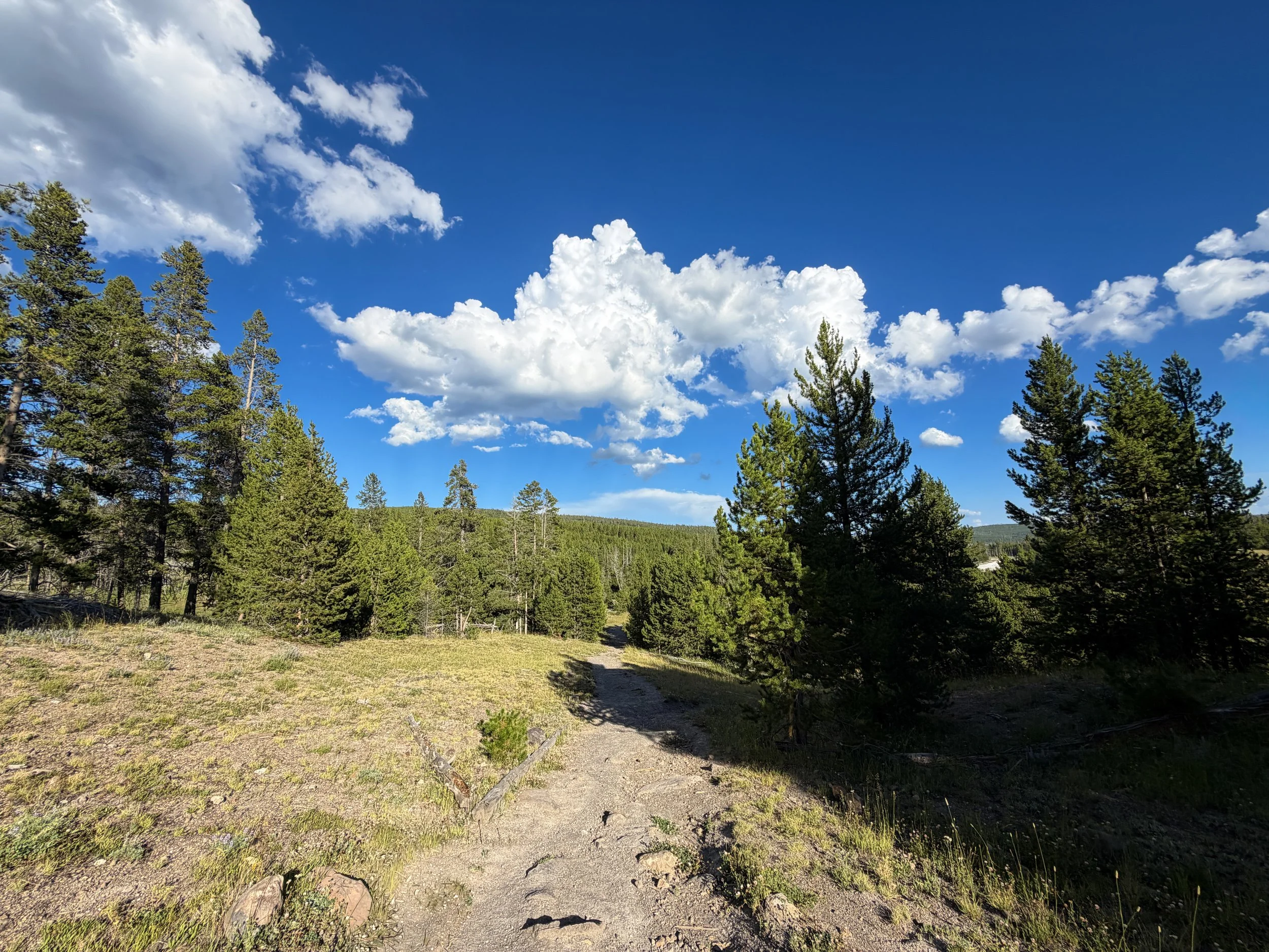 Artemisia Trail Yellowstone National Park Wyoming