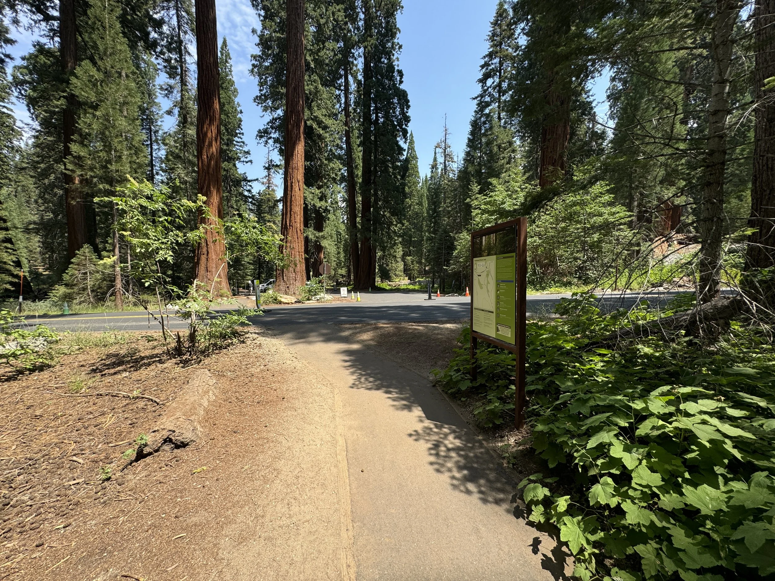 Hiking the Big Trees Trail in Sequoia National Park — noahawaii