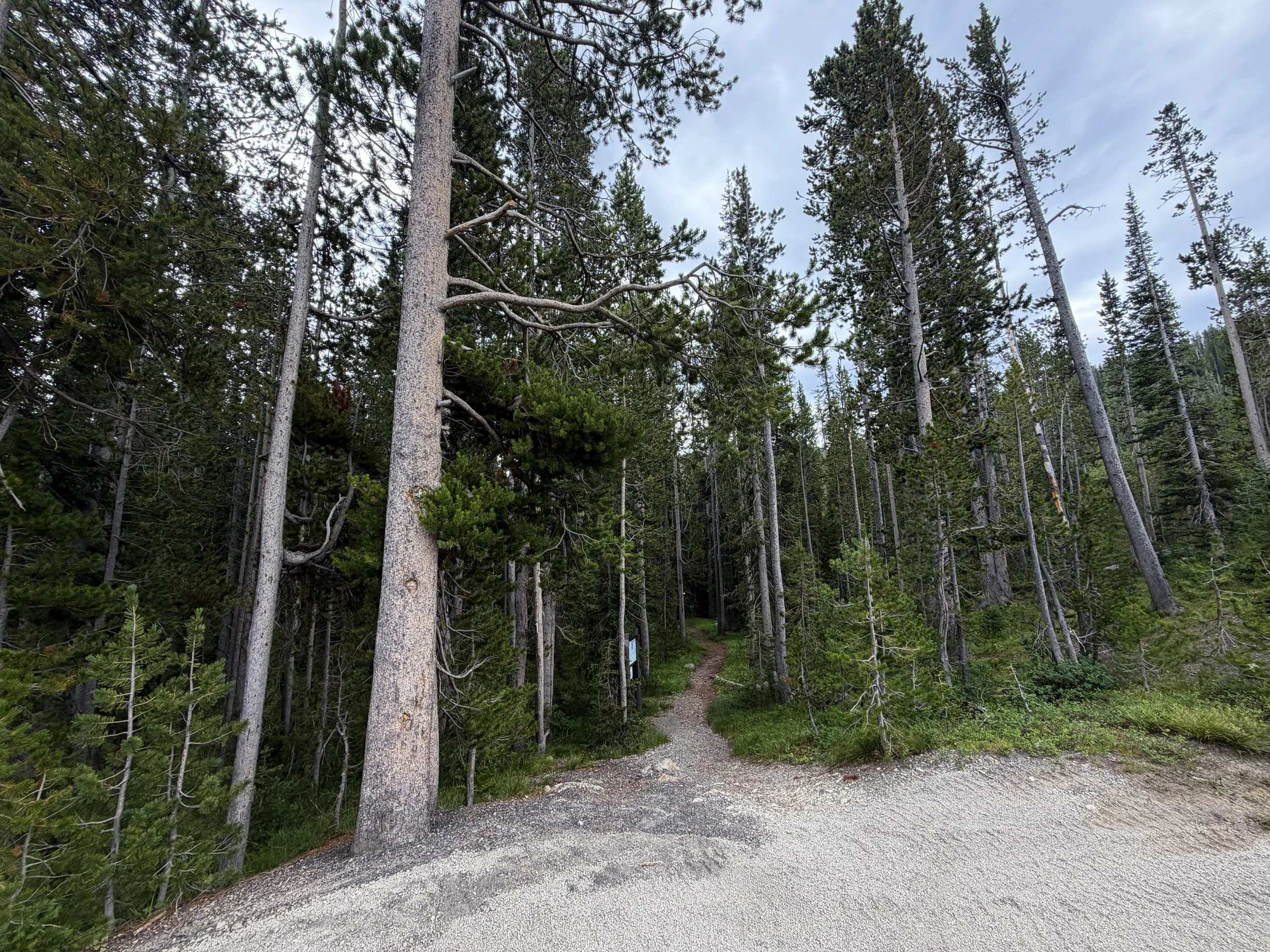 Divide Mountain Trailhead Yellowstone National Park Wyoming