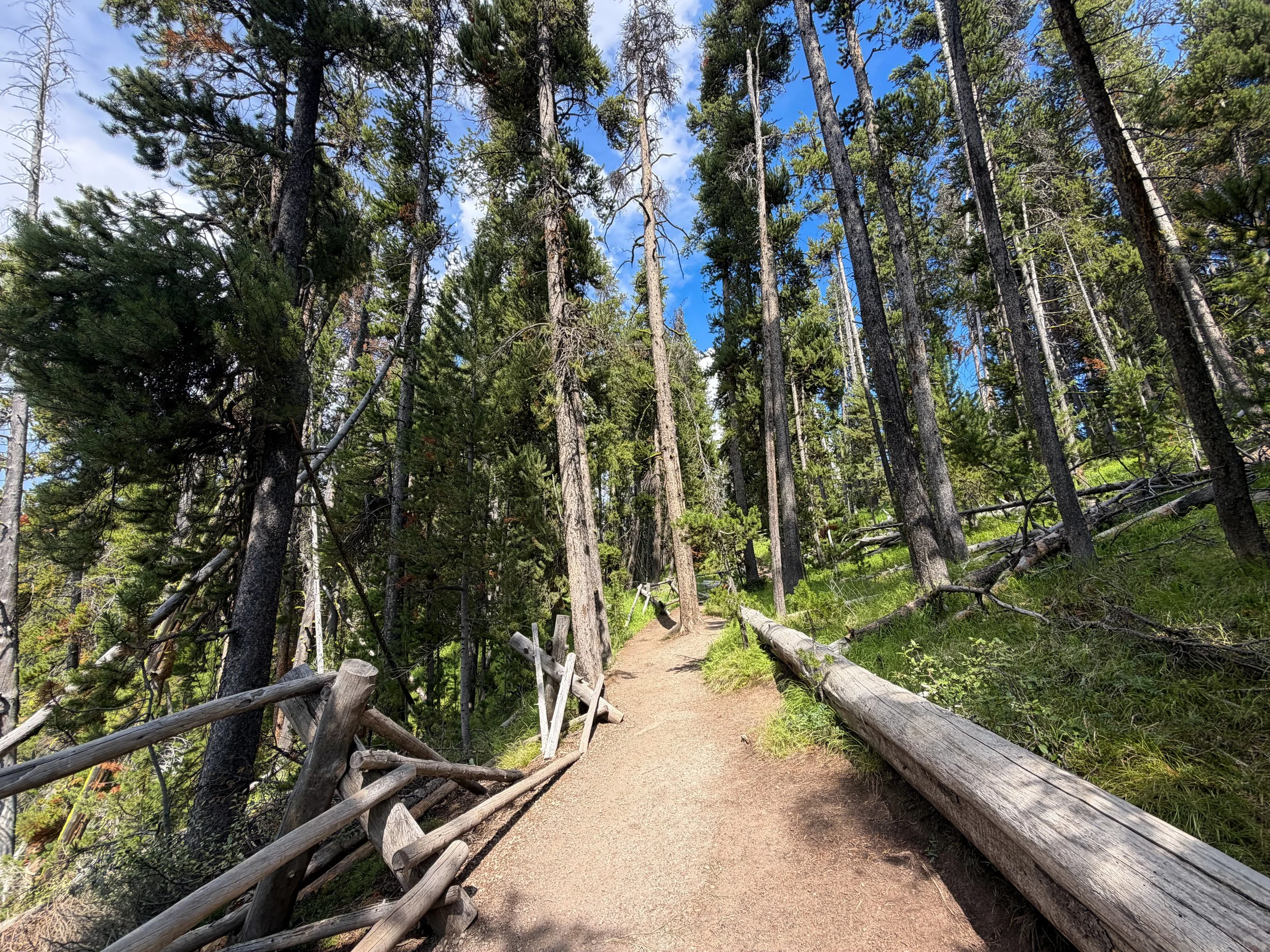 South Rim Trail Yellowstone National Park Wyoming