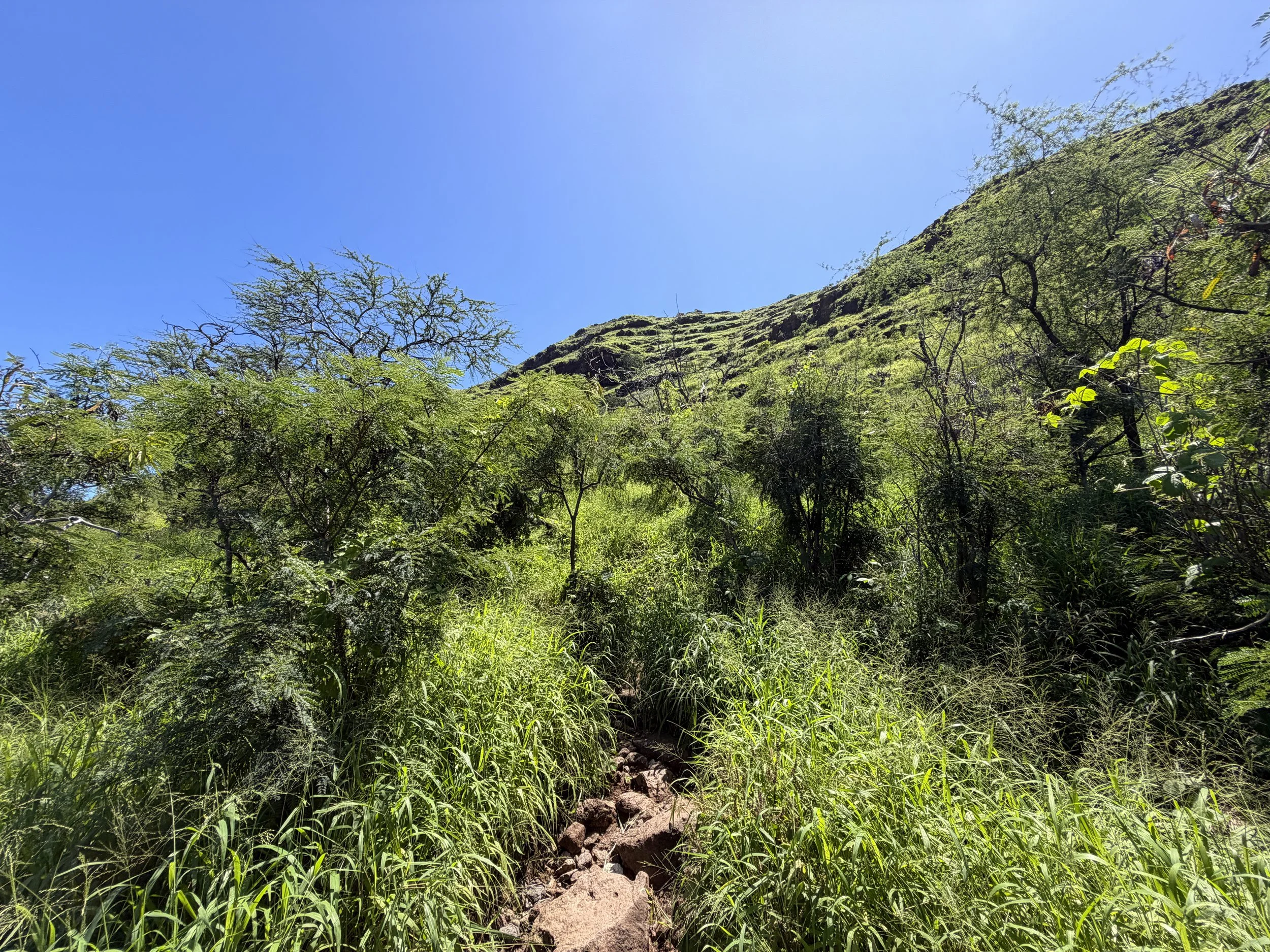 Pink Pillbox Trail Oahu Hawaii