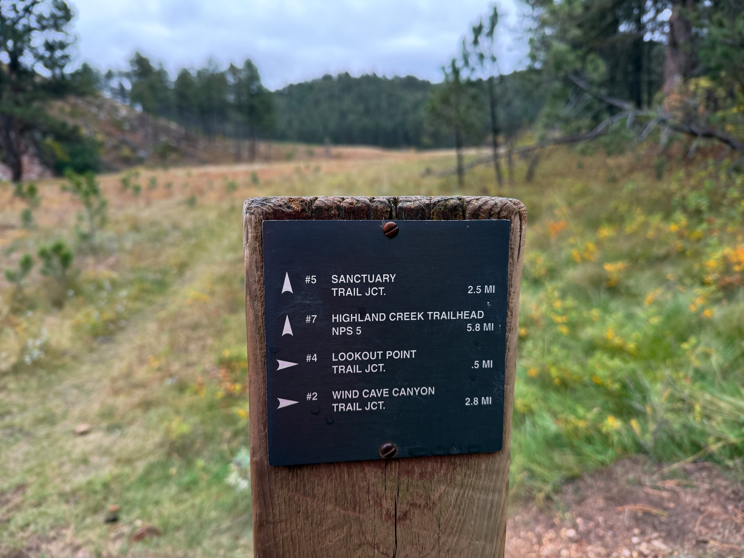 Highland Creek Trail to Lookout Point Wind Cave National Park South Dakota