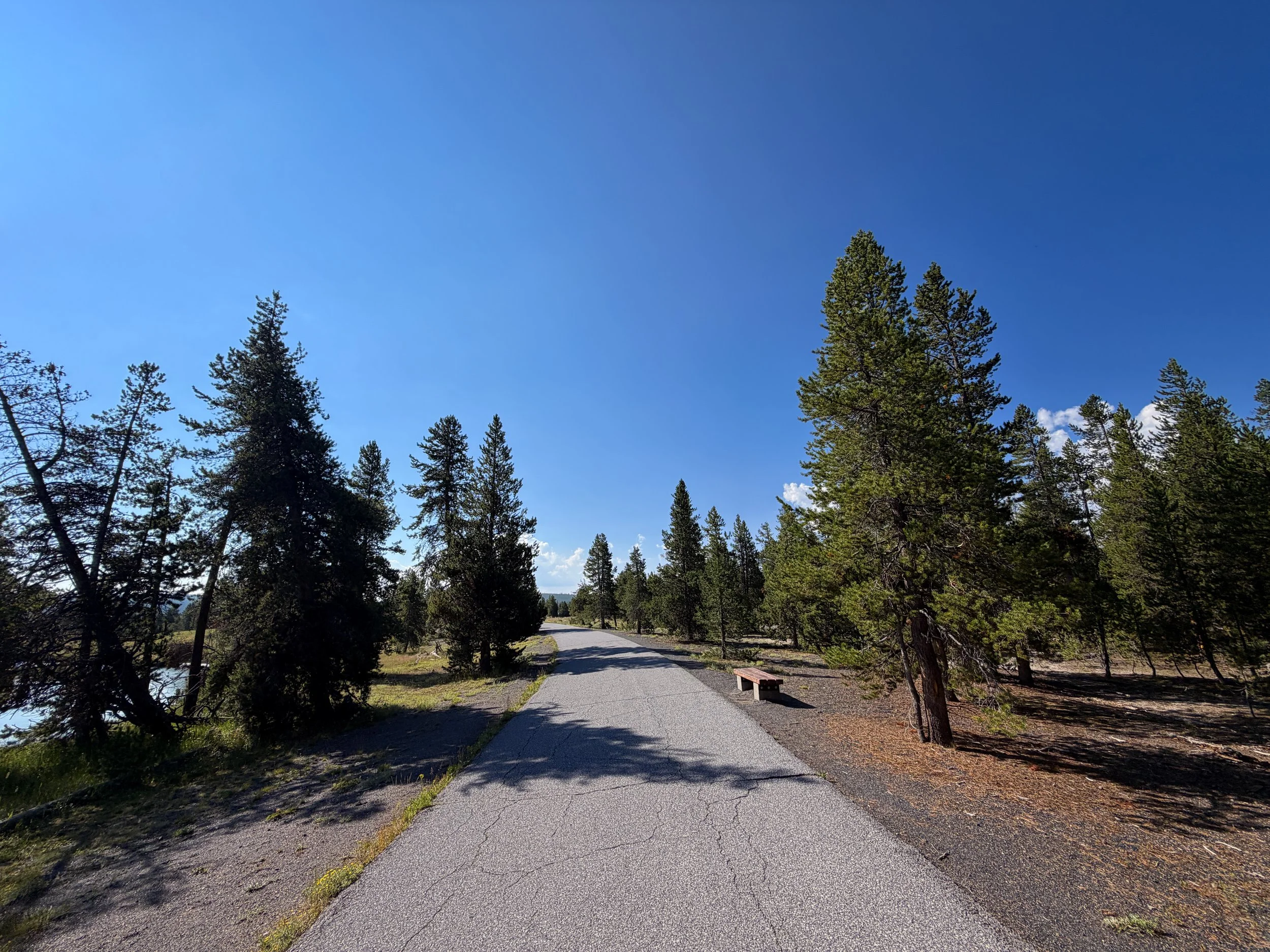 Upper Geyser Basin Trail Yellowstone National Park Wyoming