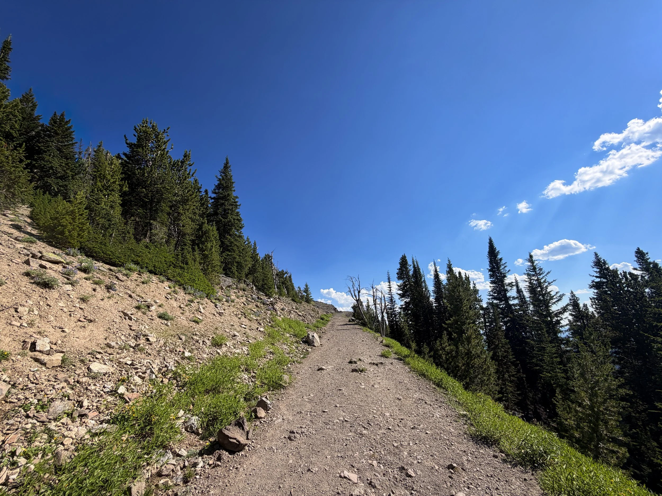 South Mt. Washburn Trail Yellowstone National Park Wyoming