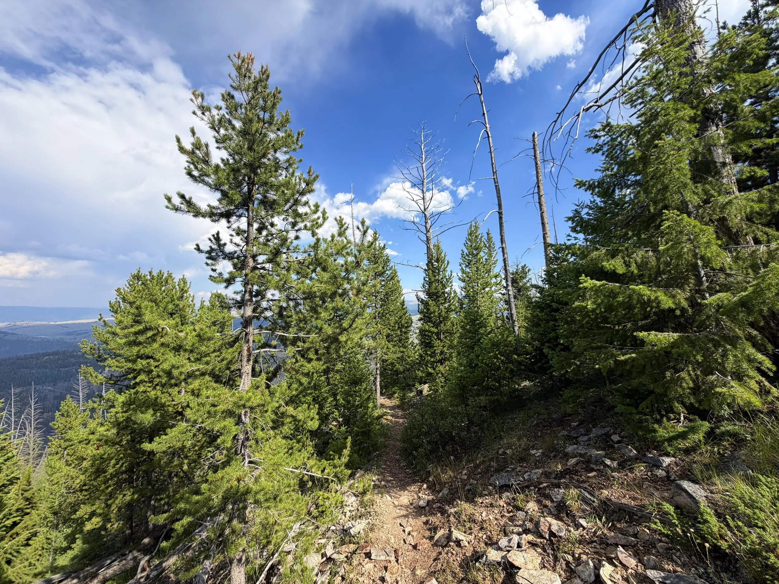 Bunsen Peak Hike Yellowstone National Park Wyoming