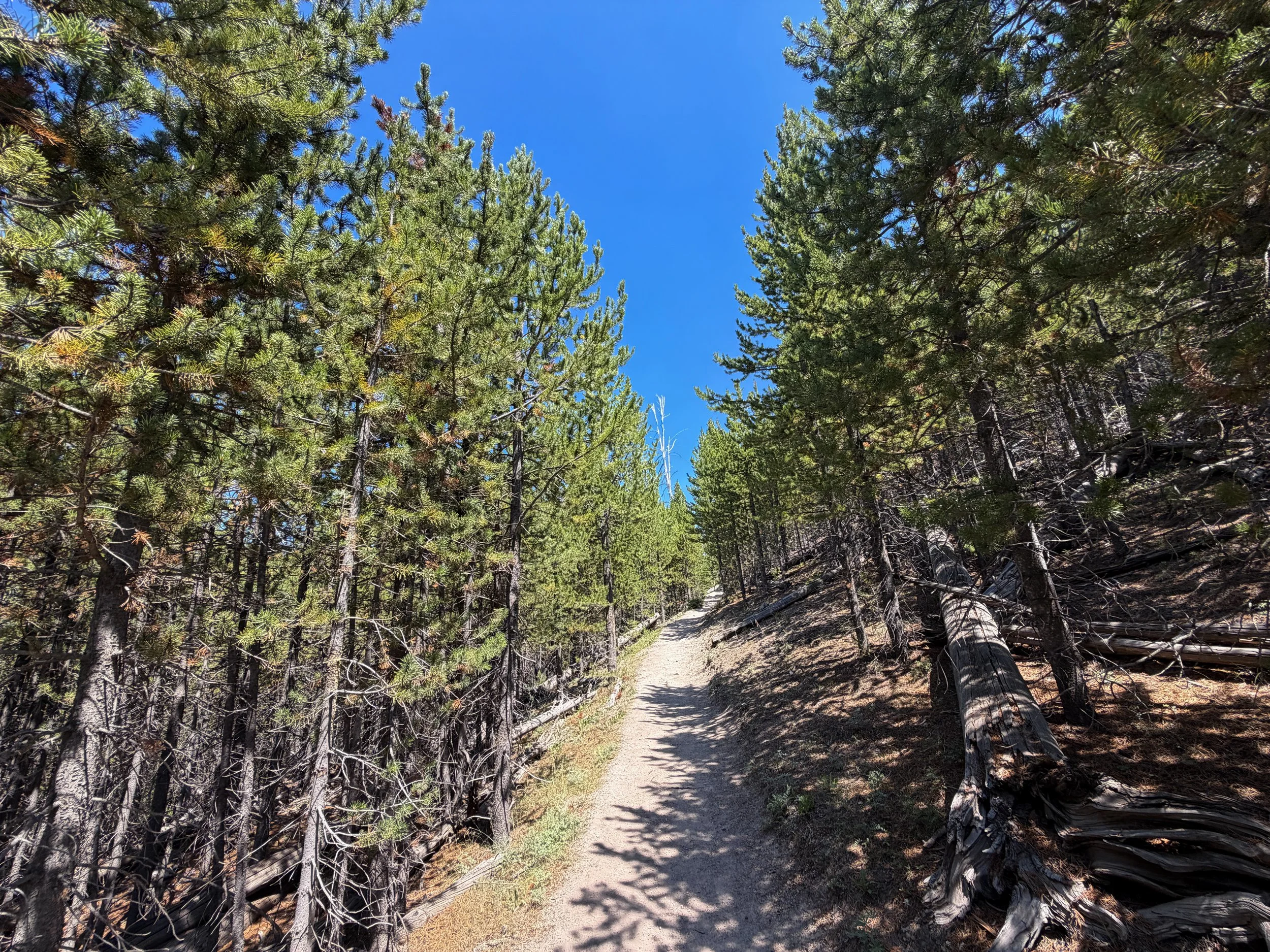 Bunsen Peak Trail Yellowstone National Park Wyoming