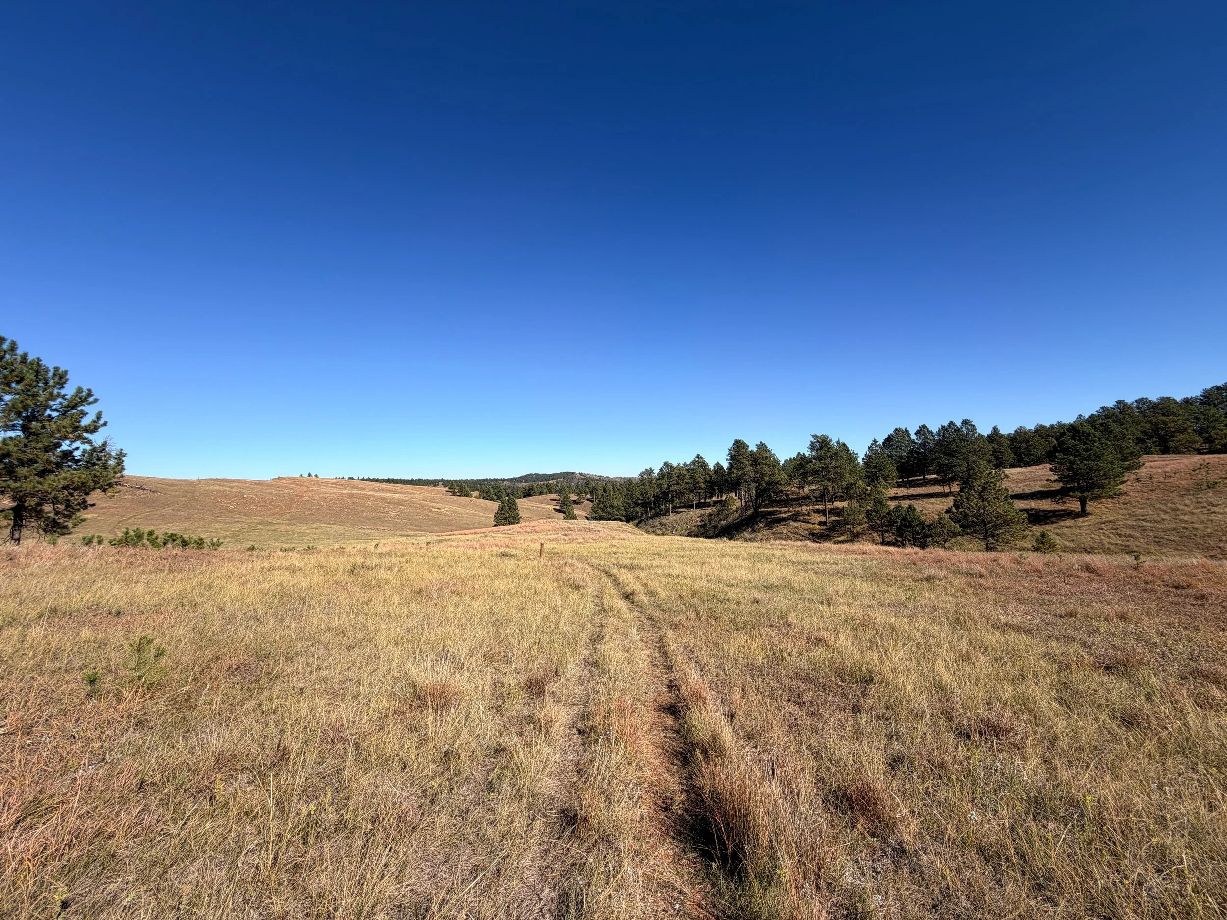 East Bison Flats Trail Wind Cave National Park South Dakota