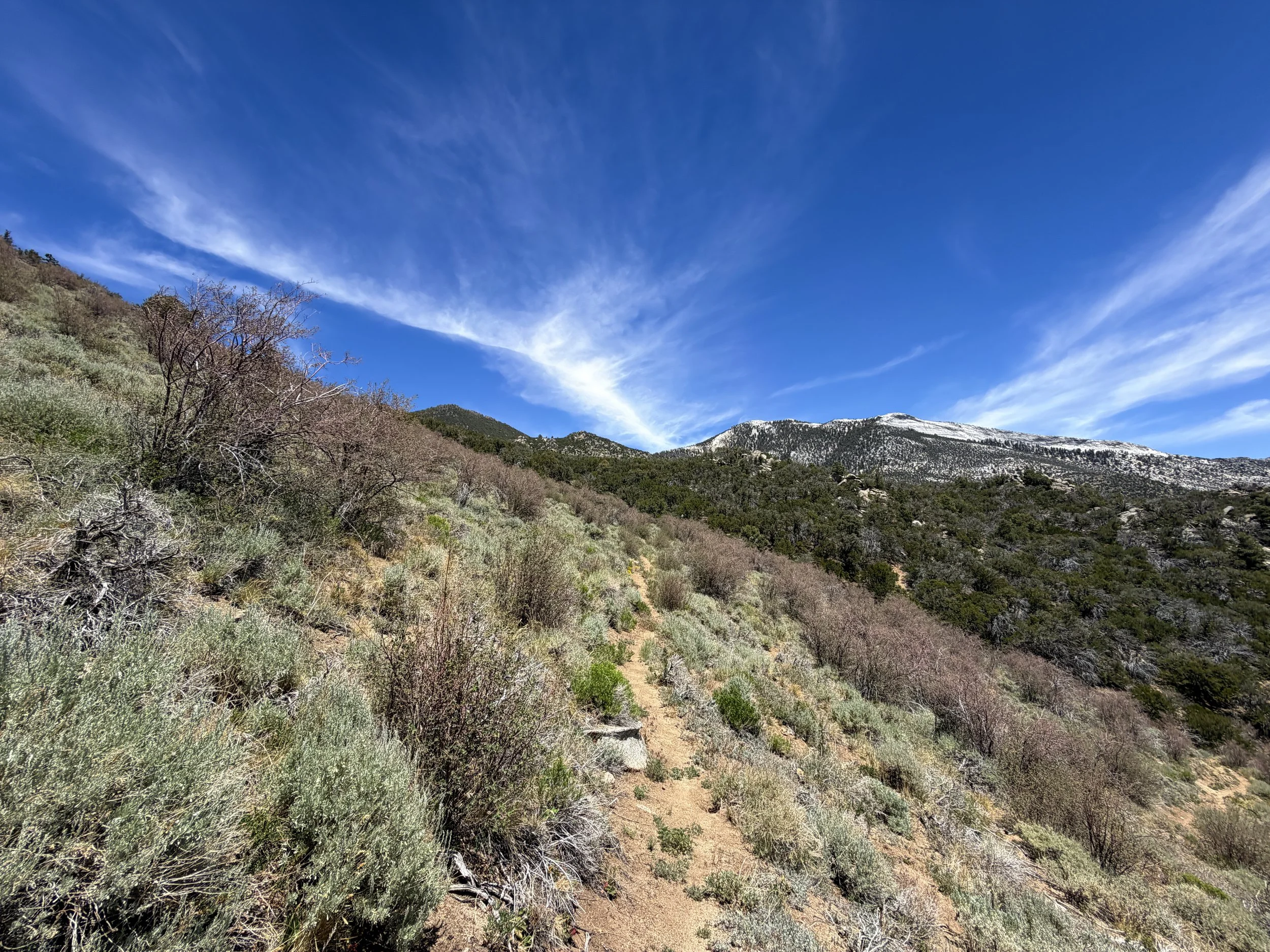Serviceberry Trail Great Basin National Park Nevada