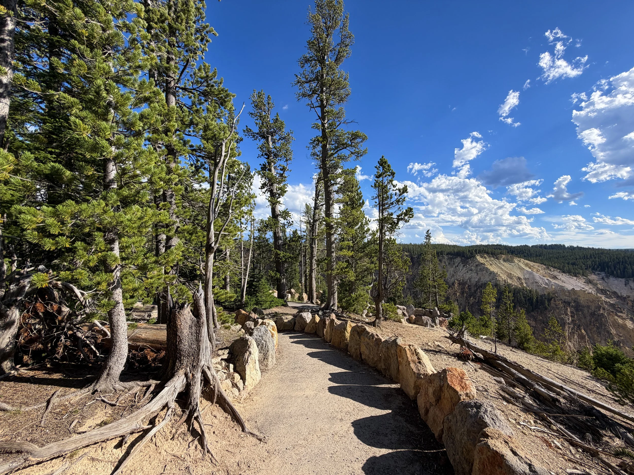 Inspiration Point North Rim Trail Yellowstone National Park Wyoming