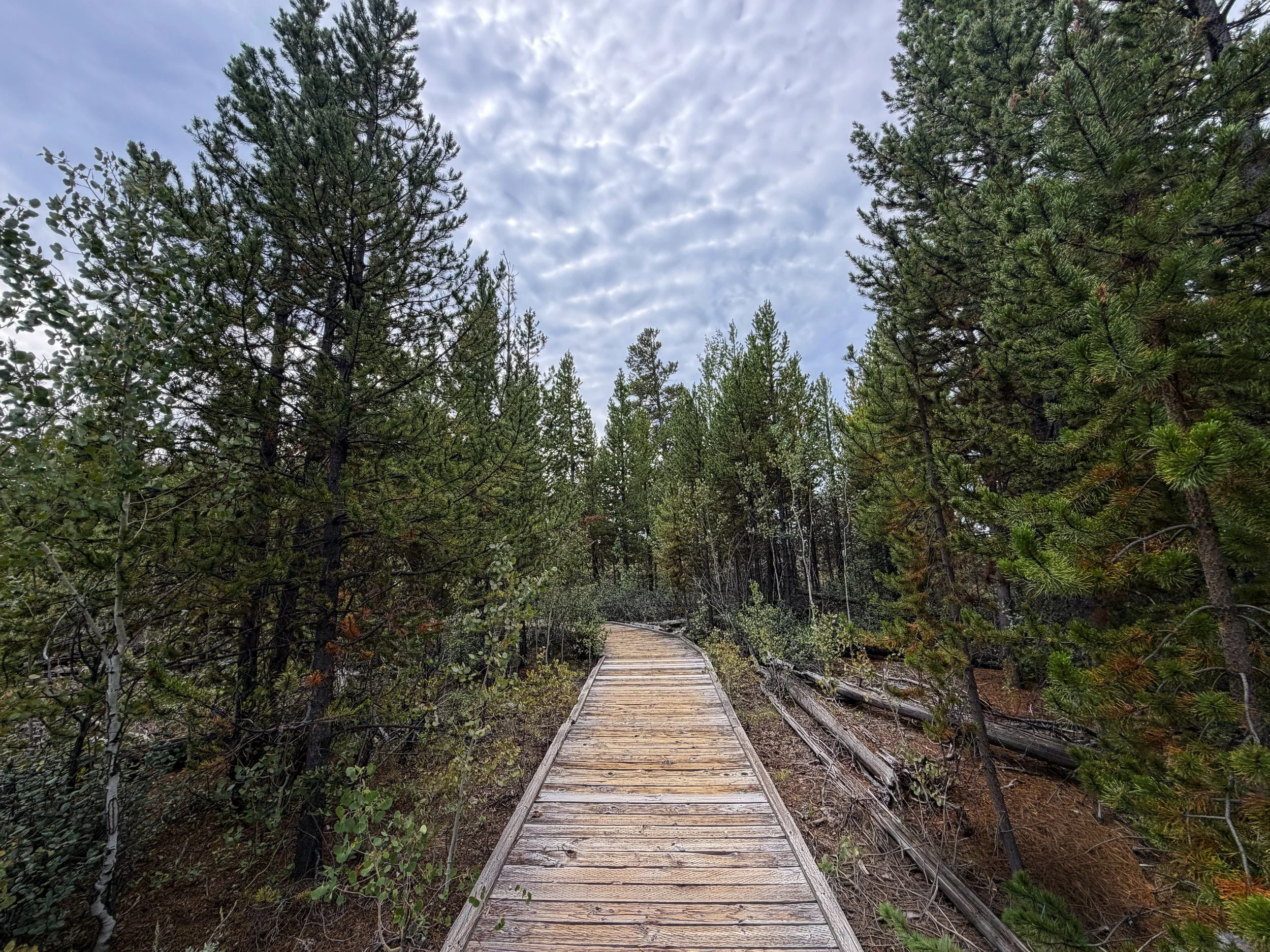 Forces of the Northern Range Hike Yellowstone National Park Wyoming