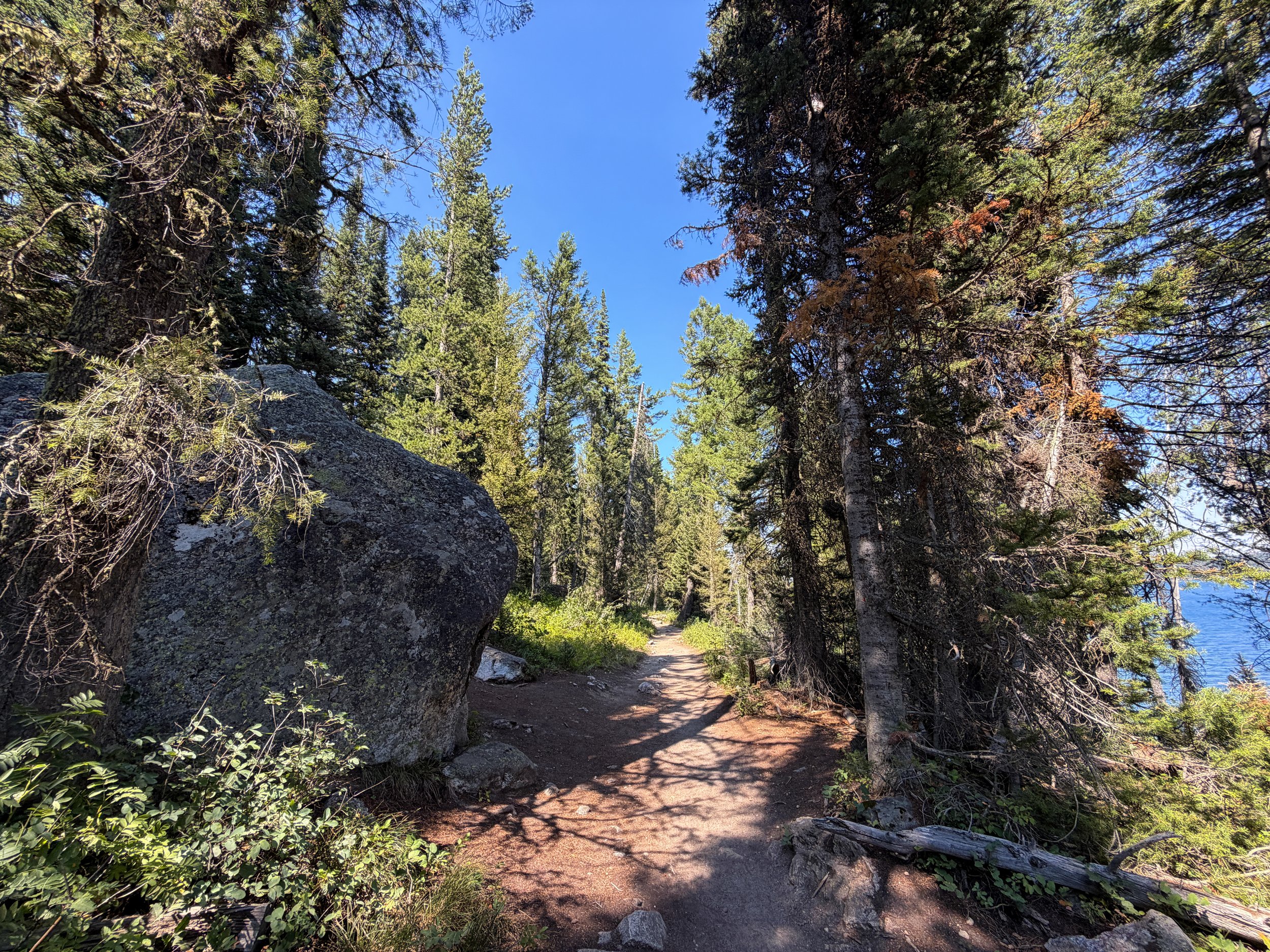 Jenny Lake Loop Trail Grand Teton National Park Wyoming