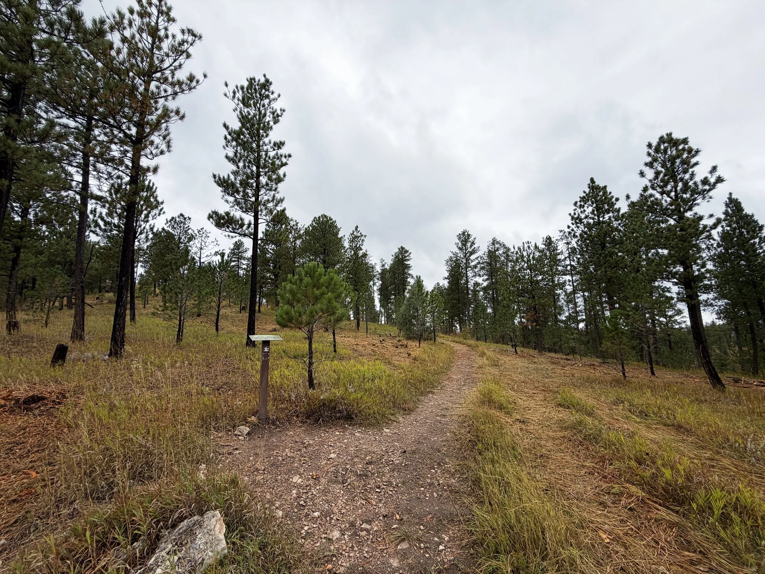 Buzzards Roost Hike Black Hills Rapid City South Dakota