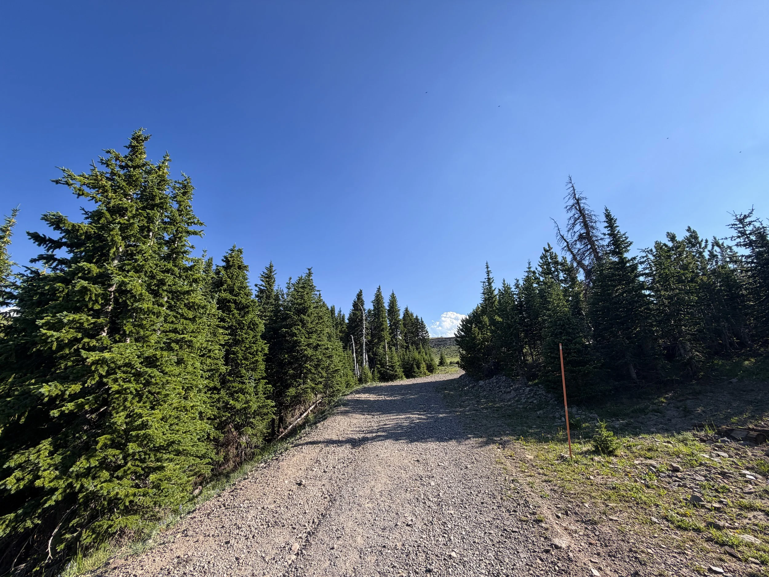 Mount Washburn Hike via Chittenden Road Yellowstone National Park Wyoming
