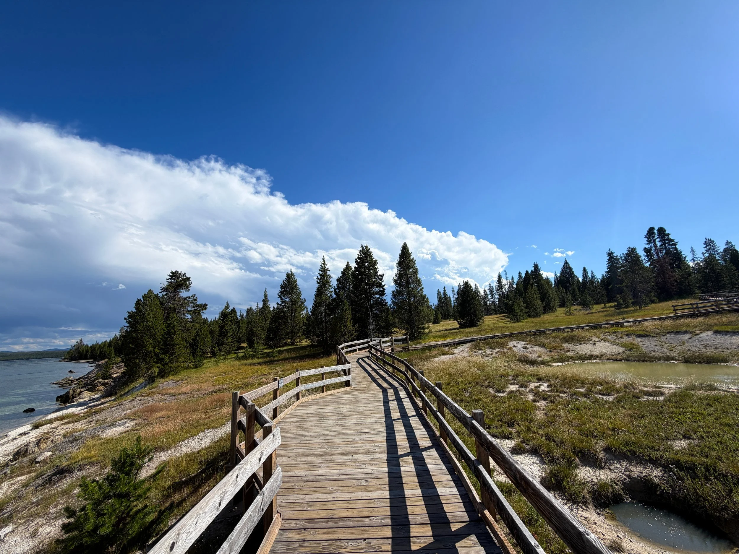 West Thumb Geyser Basin Trail Yellowstone National Park Wyoming