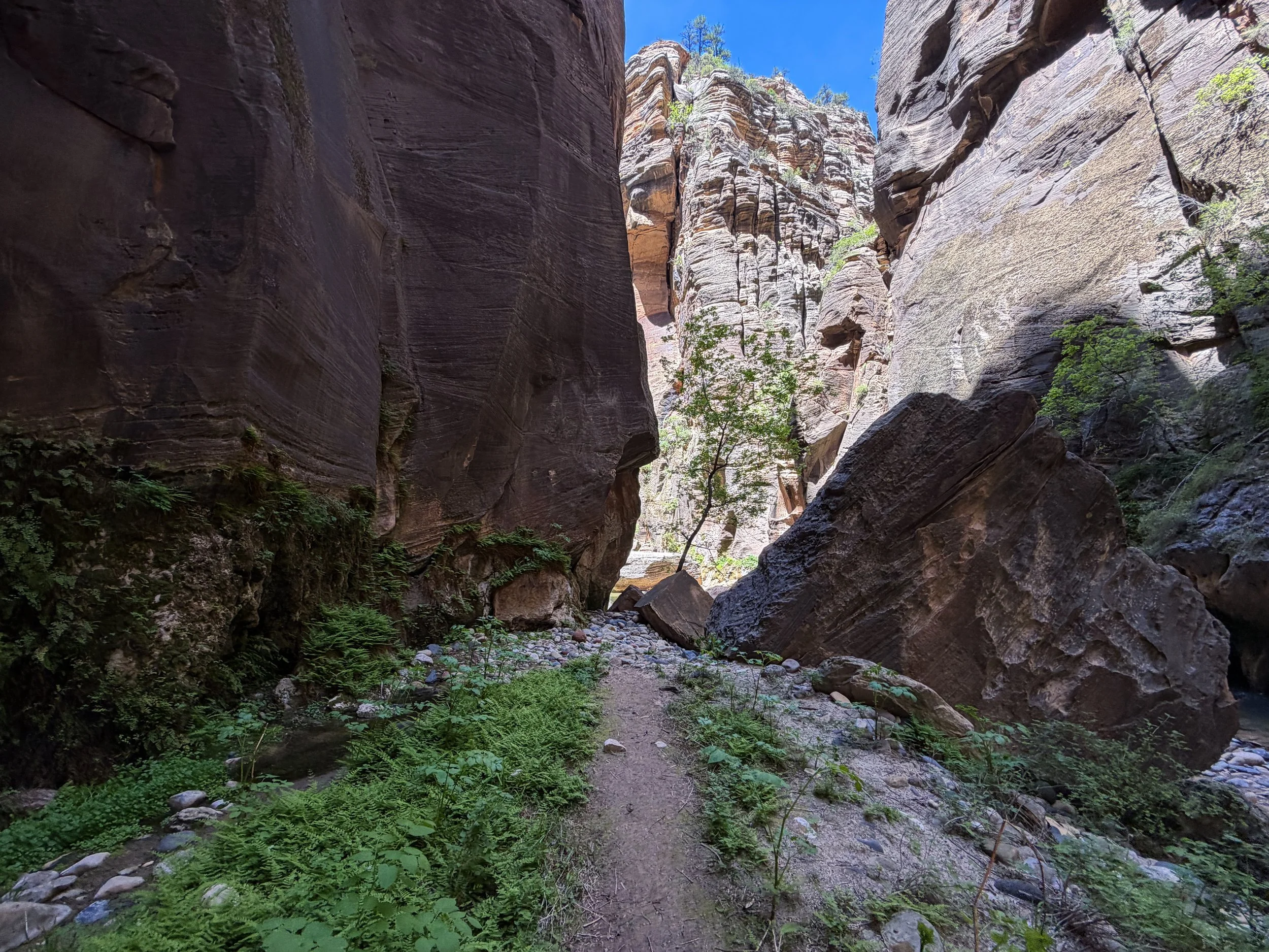 The Narrows Zion National Park Utah