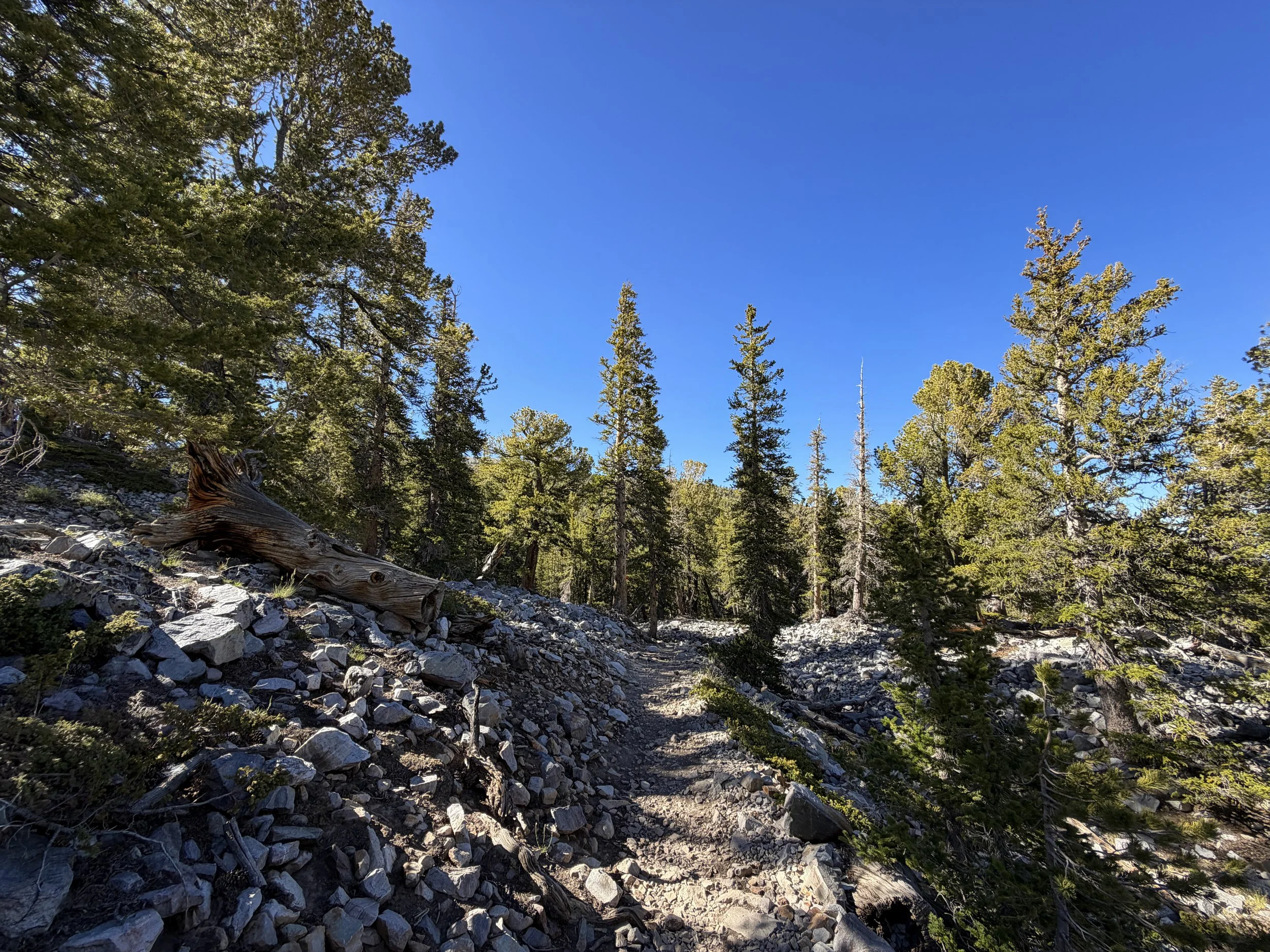 Alpine Lakes Loop Trail Great Basin National Park Nevada