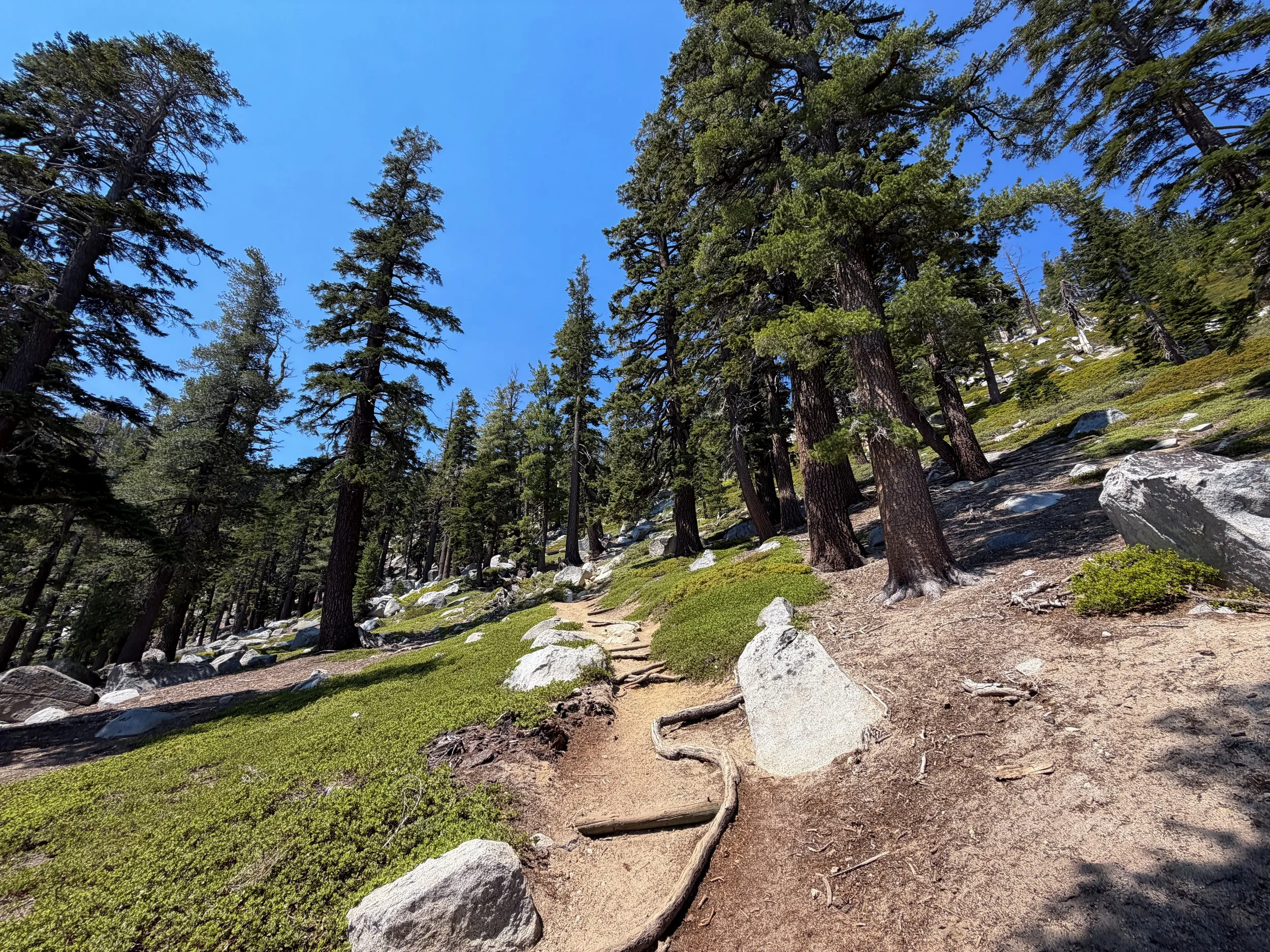 Bayview Trail to Maggies Peak Lake Tahoe California