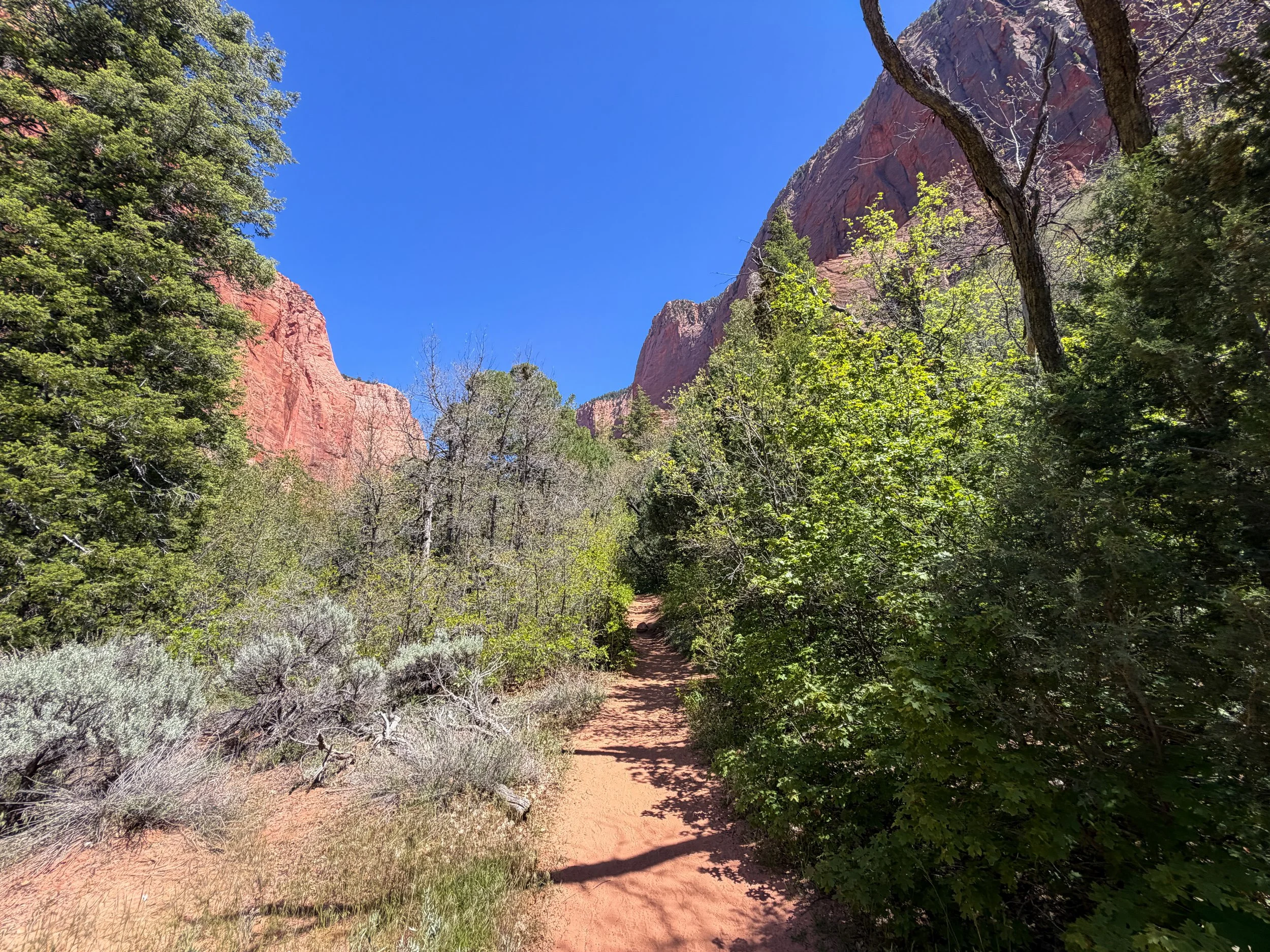 Taylor Creek Trail Zion National Park Utah