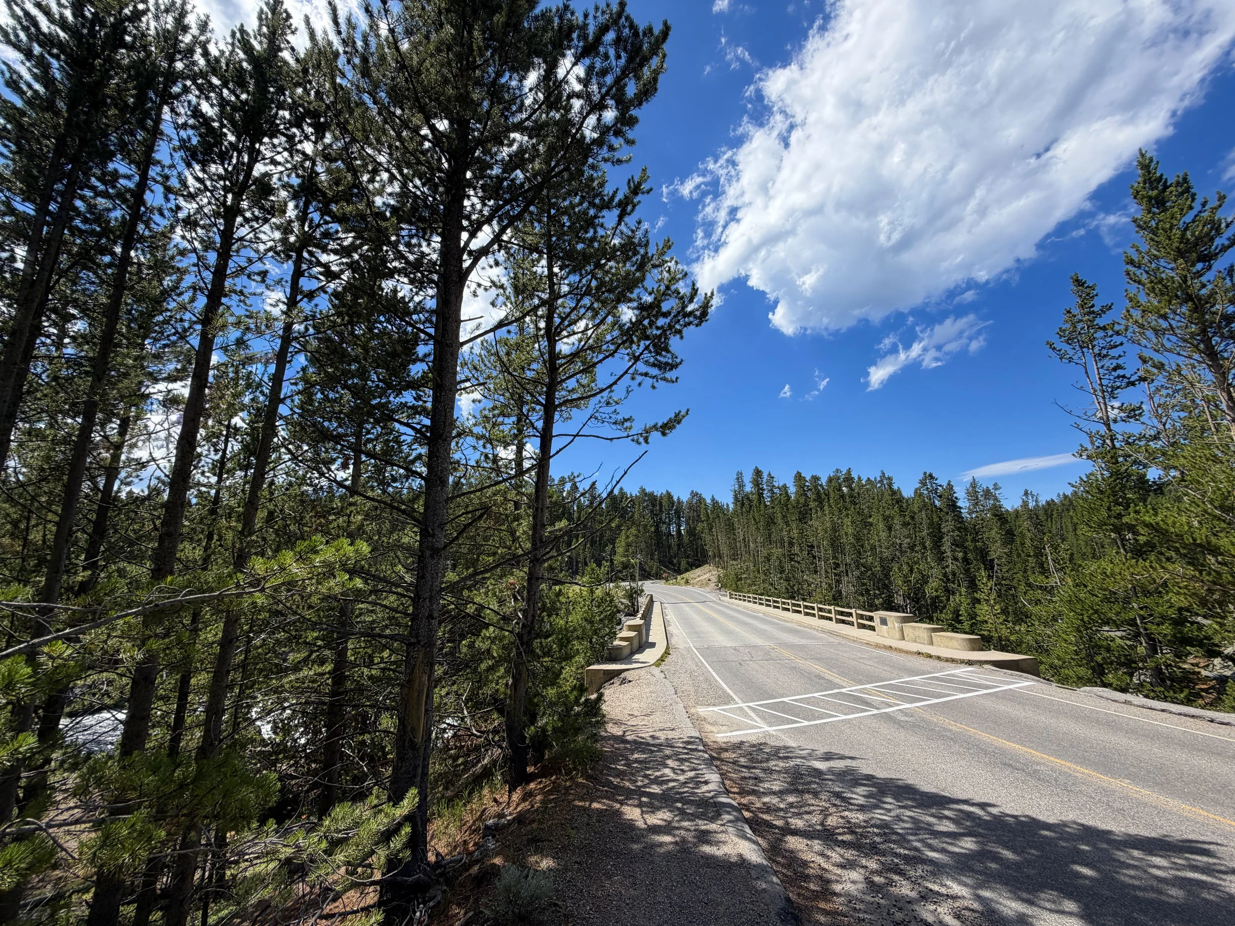 North Rim Trail Yellowstone National Park Wyoming