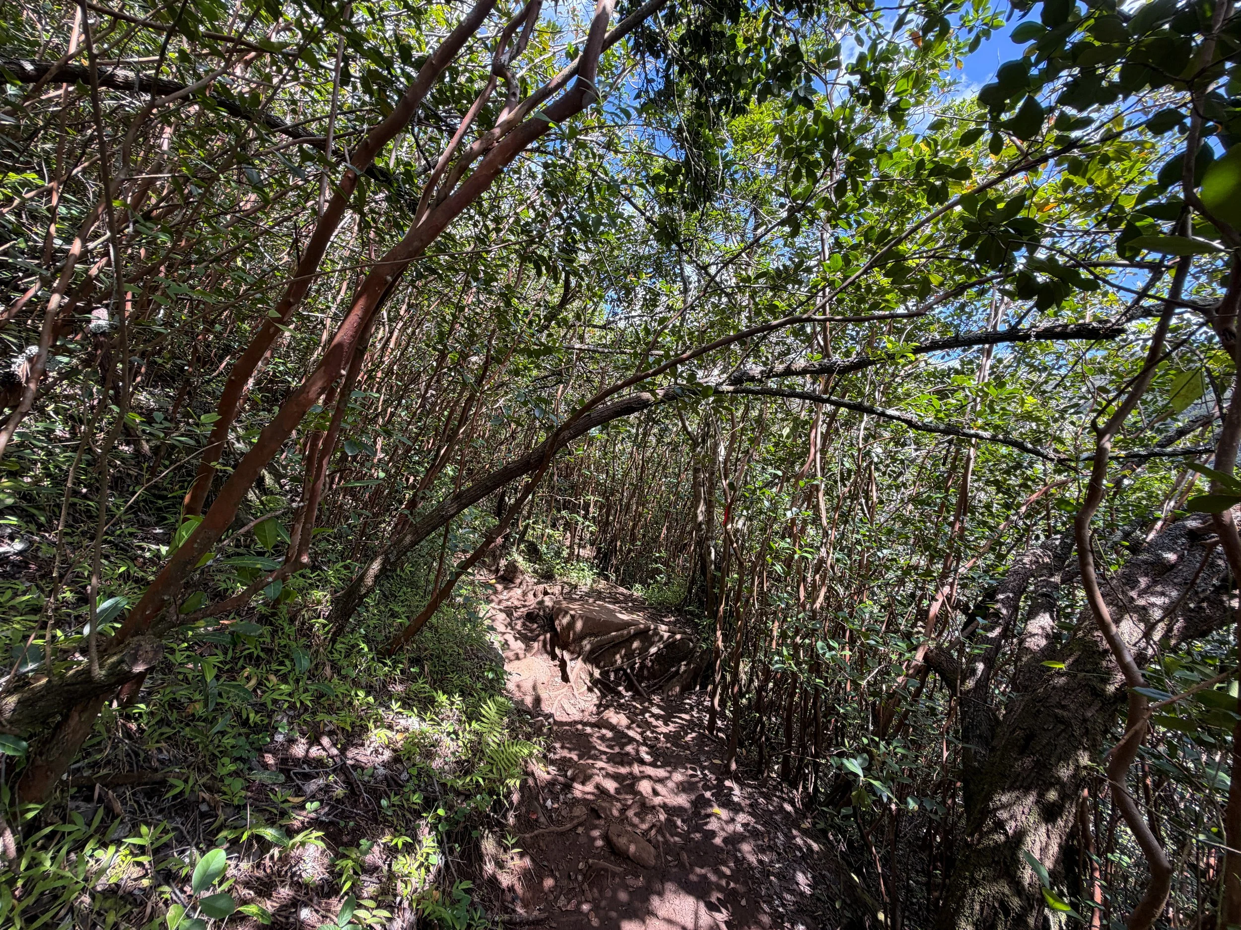 Waimano Pools Trail Oahu Hawaii