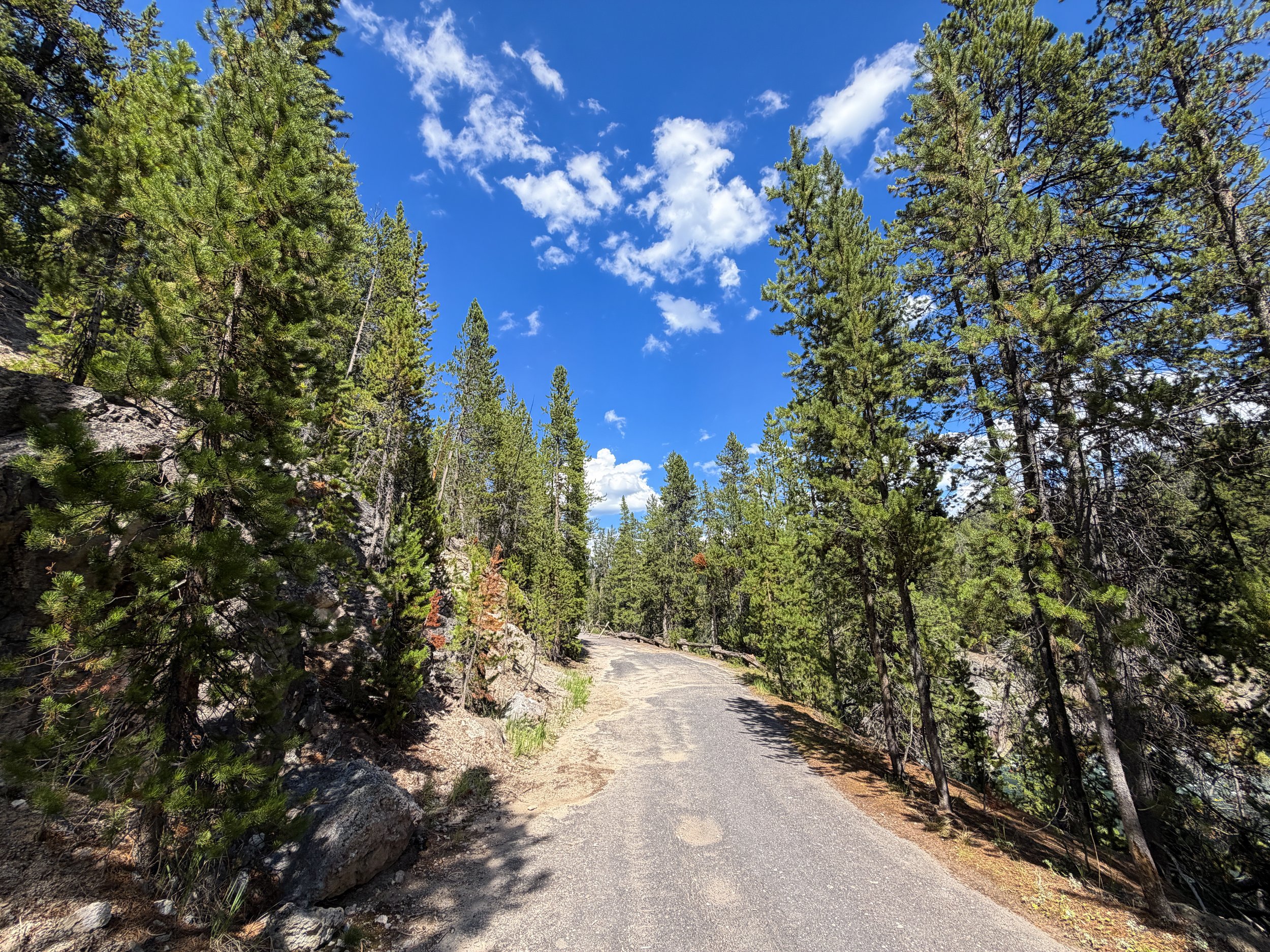 North Rim Trail Yellowstone National Park Wyoming