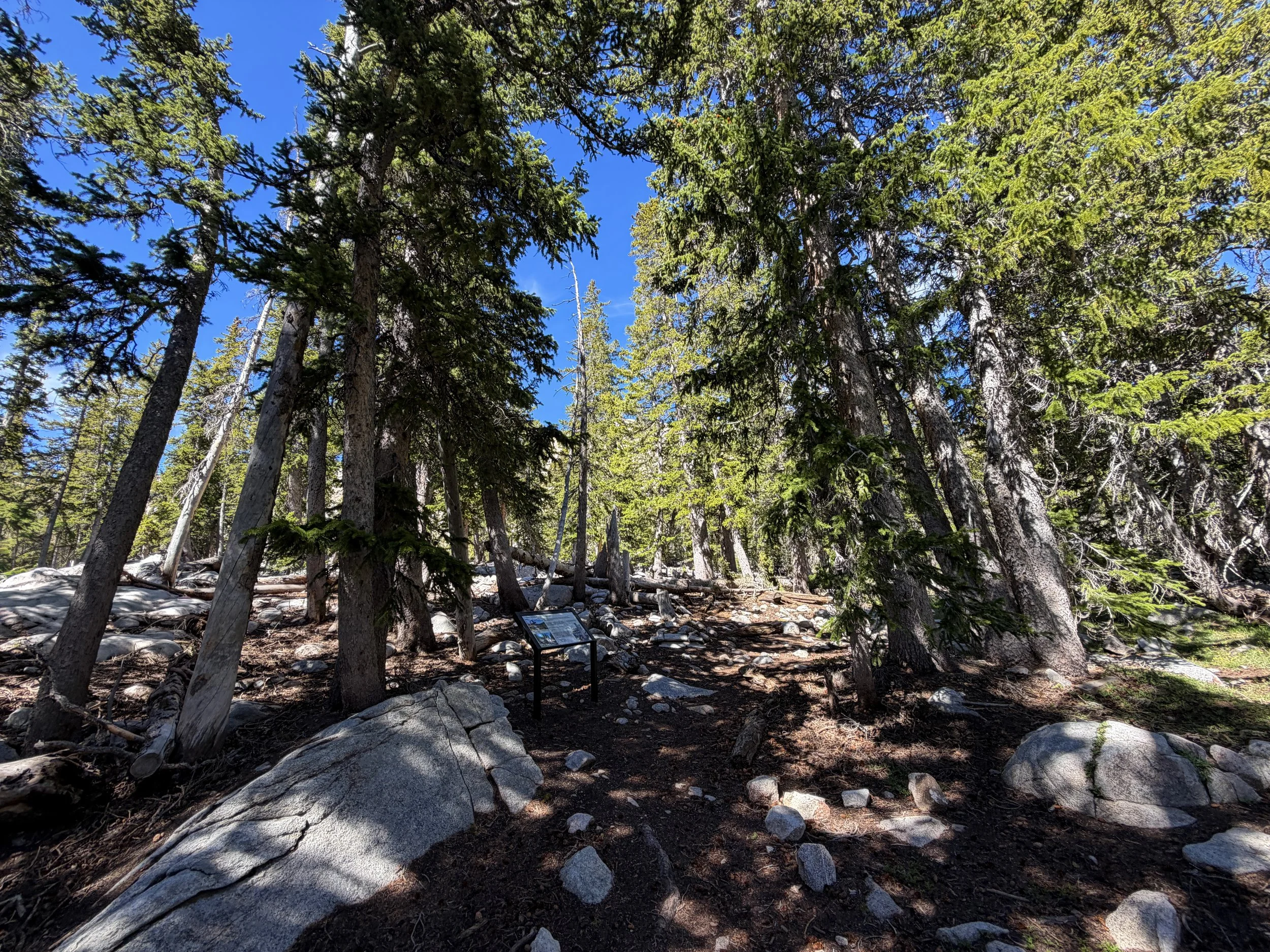Johnson Lake Trail Great Basin National Park Nevada