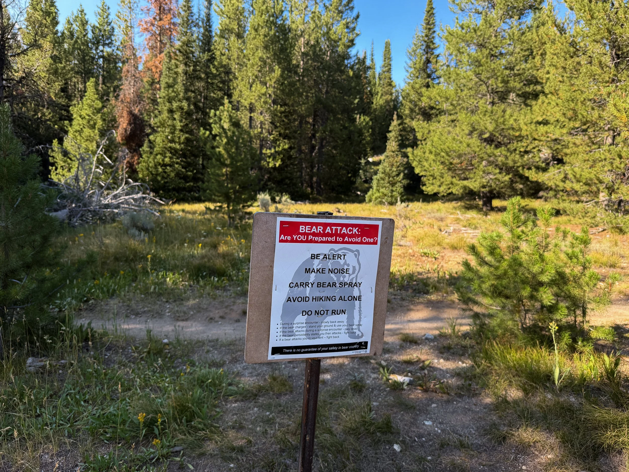 Moose Ponds Loop Trail Grand Teton National Park Wyoming