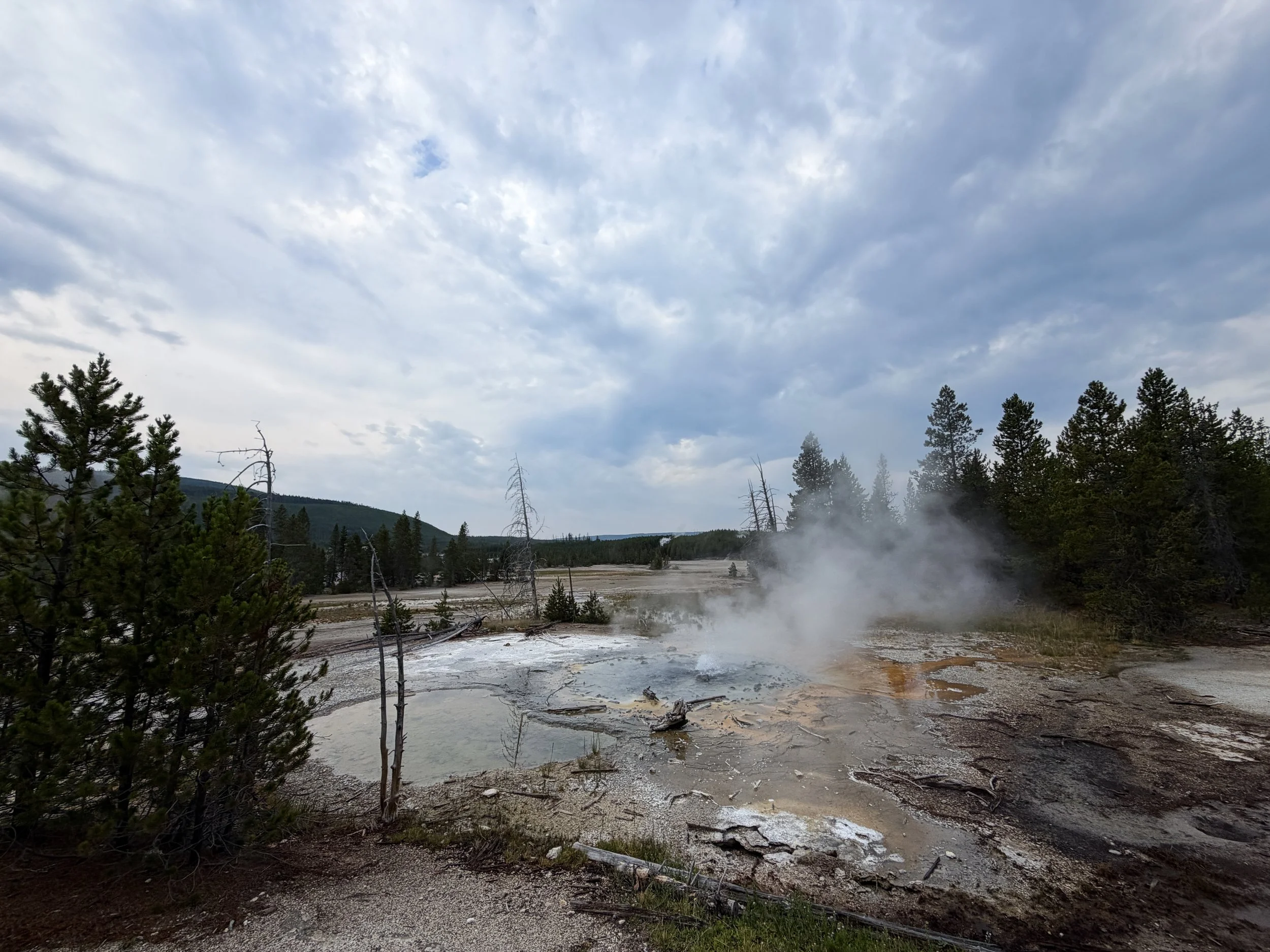 Minute Geyser Norris Geyser Basin Trail Yellowstone National Park Wyoming