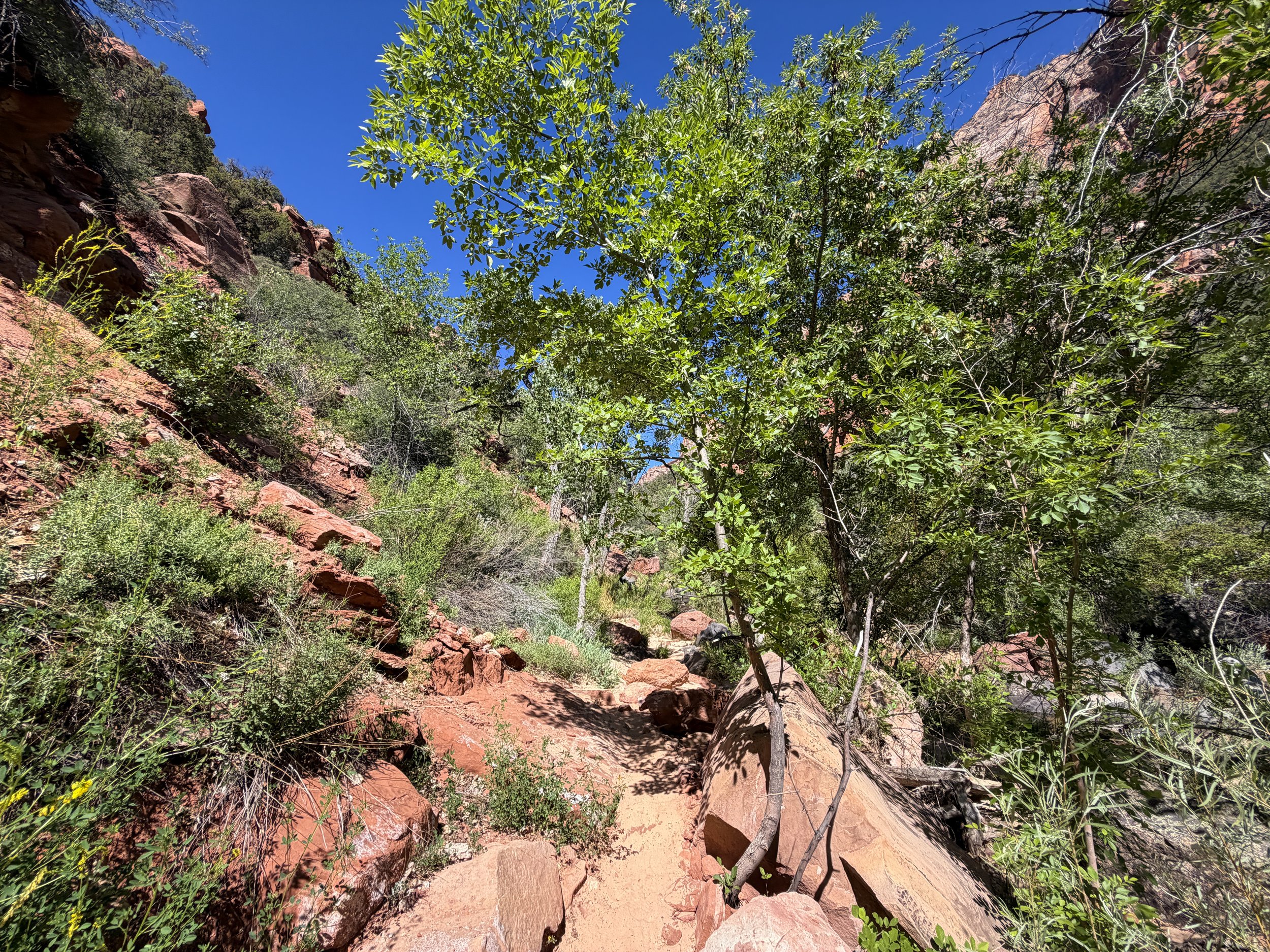 Subway Trail via Left Fork Trailhead Zion National Park Utah