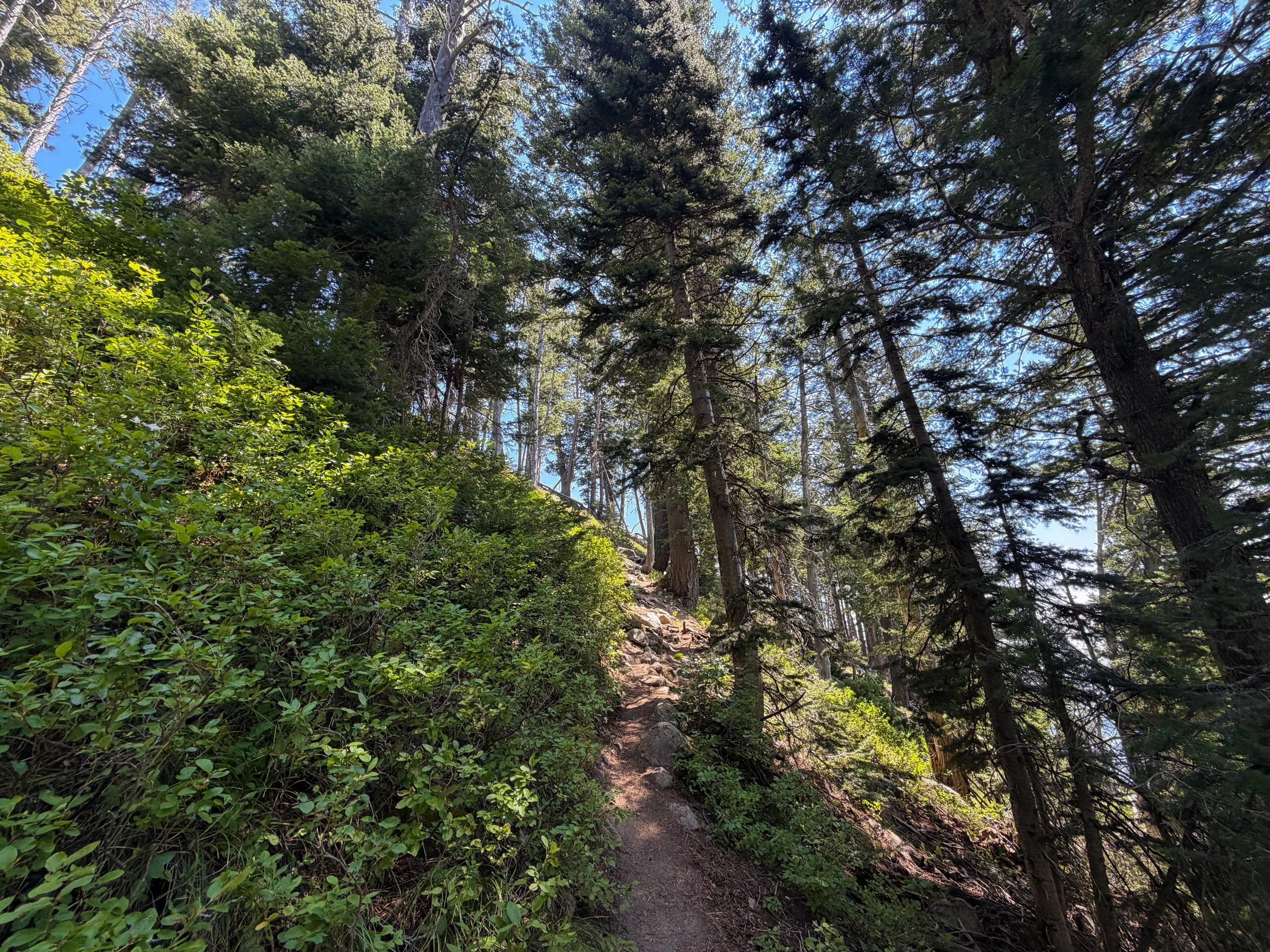 Lake of the Crags Hike Grand Teton National Park Wyoming