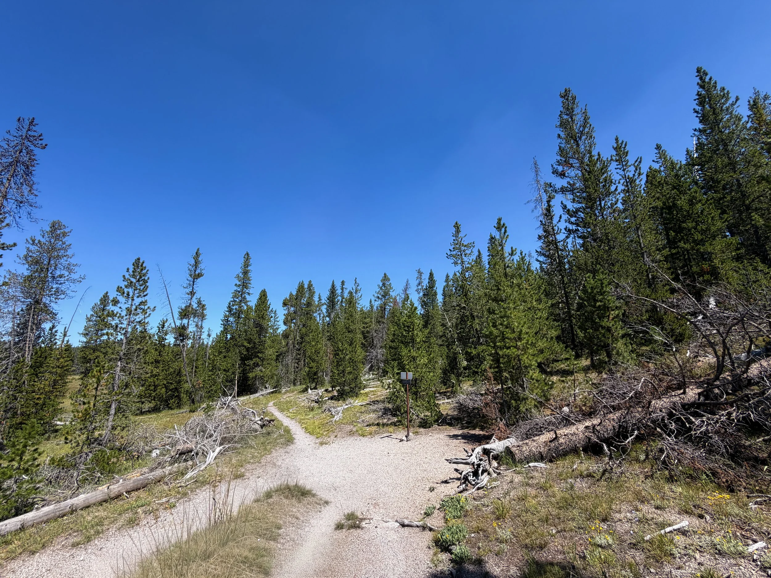 Lone Star Geyser Trail Yellowstone National Park Wyoming