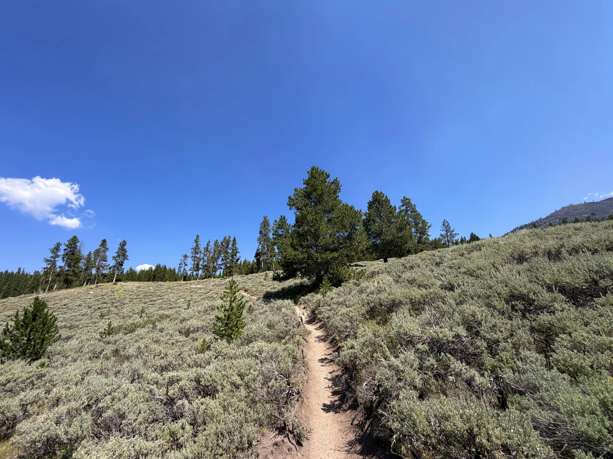 Bunsen Peak Trail Yellowstone National Park Wyoming